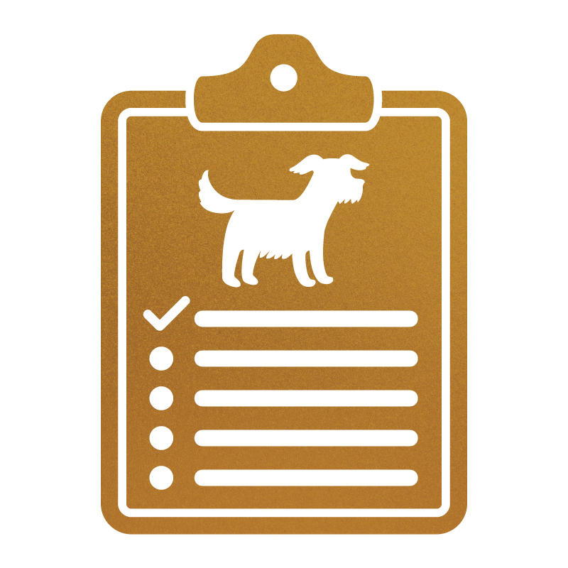 What Makes a Good Therapy Dog? The Stokeshire Guide for Clinicians