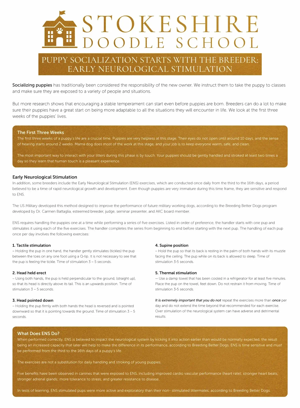 Importance of puppy socialization with ENS for impulse control.