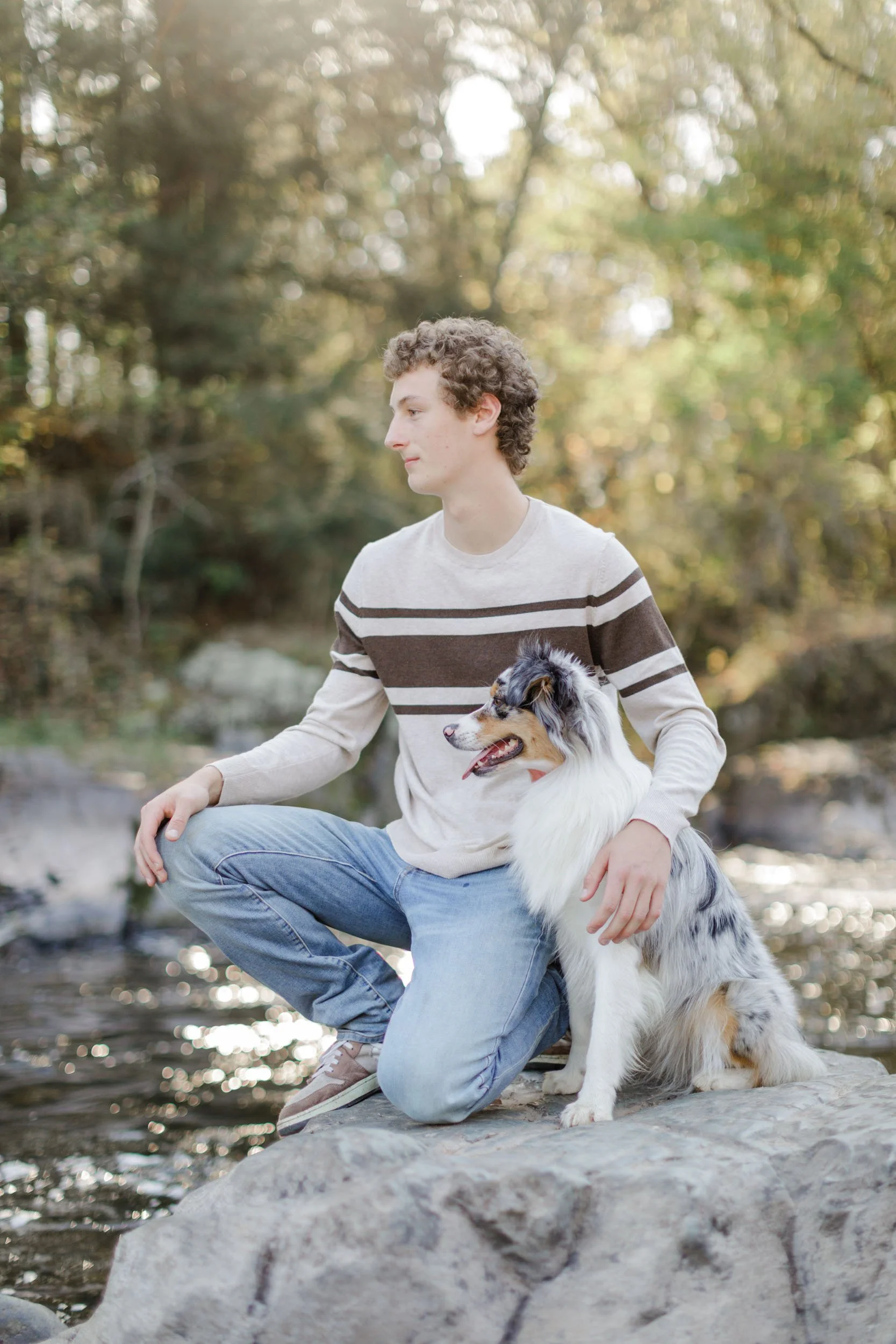 Aussiedoodle puppies raised at Stokeshire Designer Doodles in Wisconsin