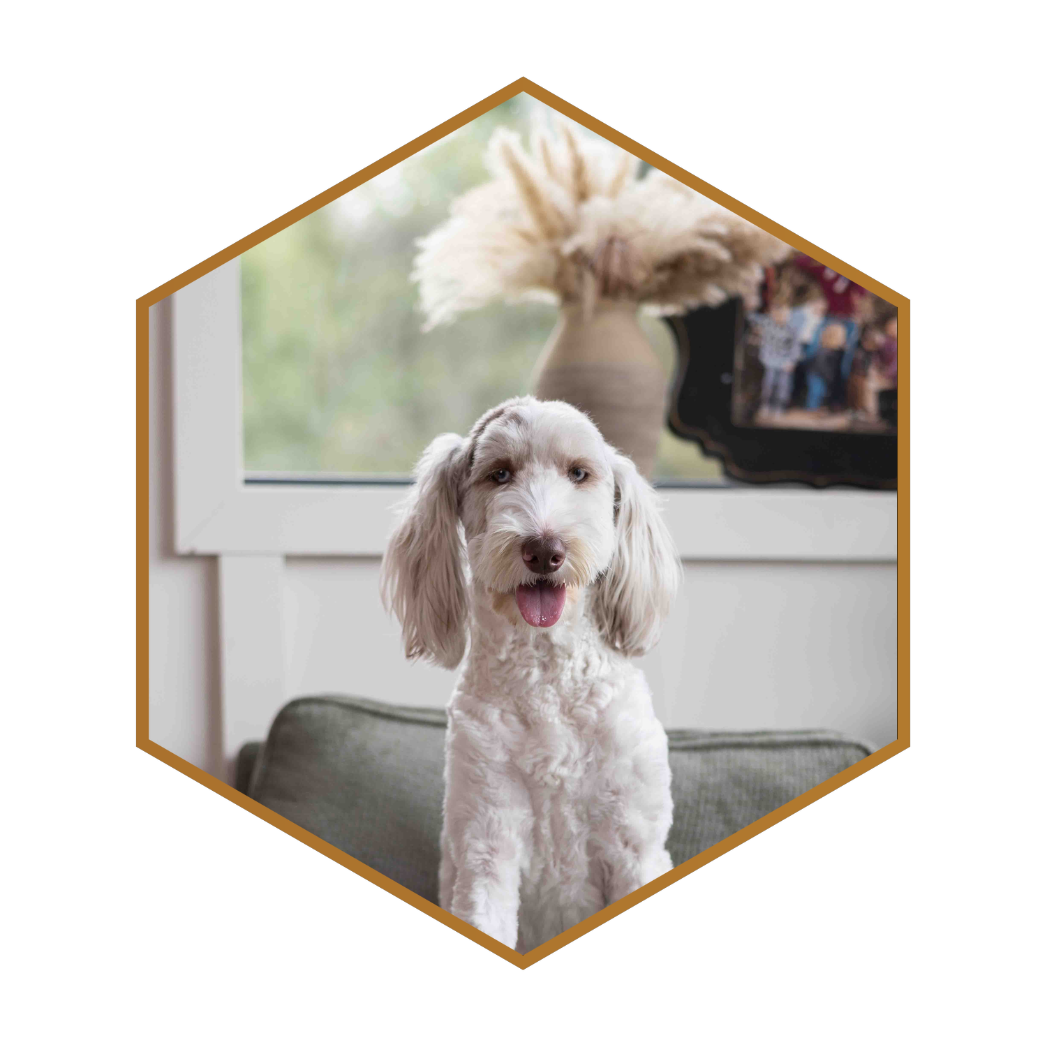 Jada-(hexagon)-#1.png