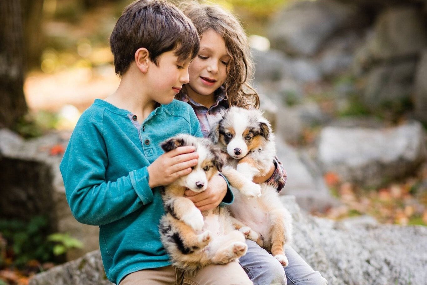 Can a dog help my child with ADHD? 