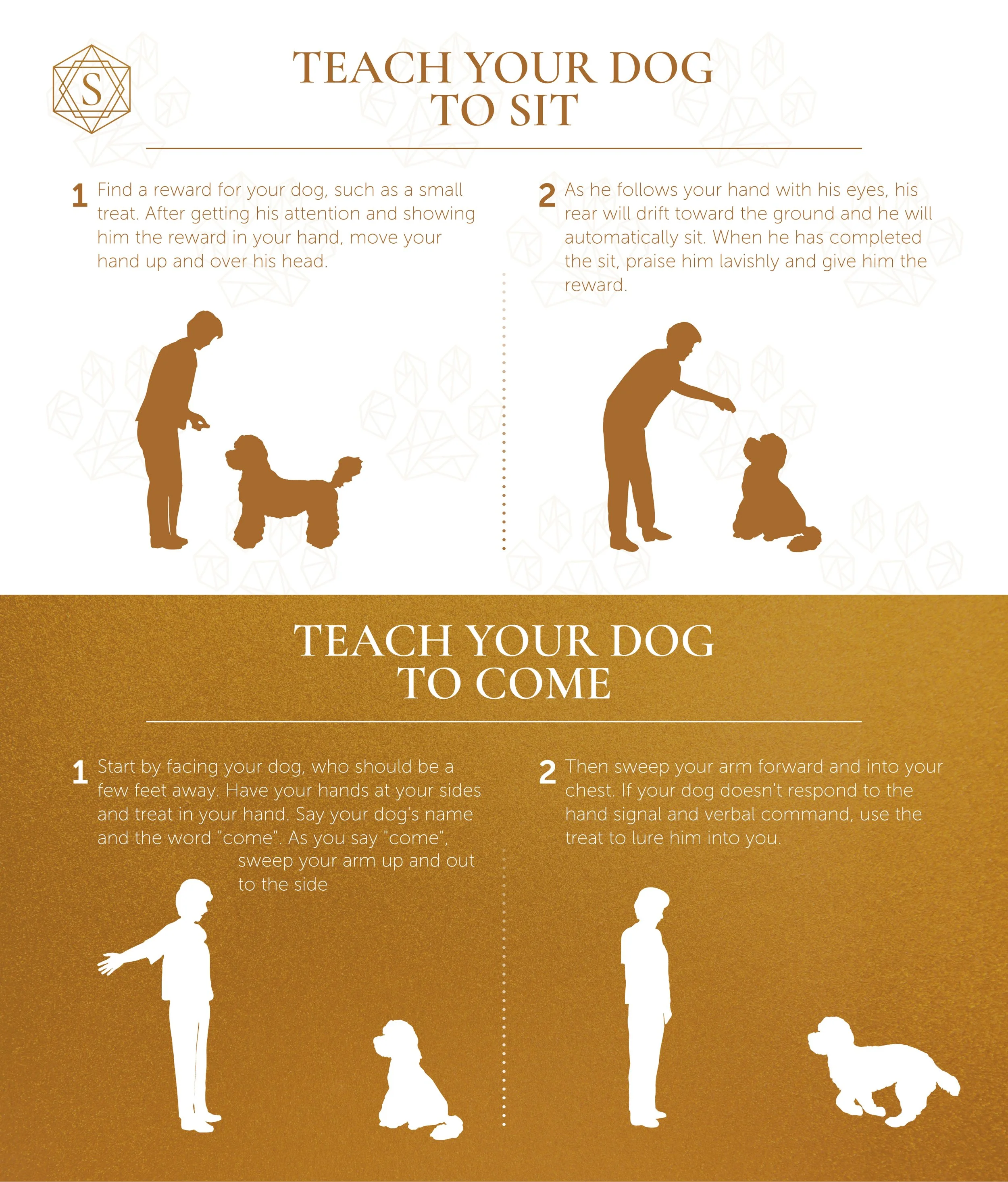 Stokeshire Doodle School training