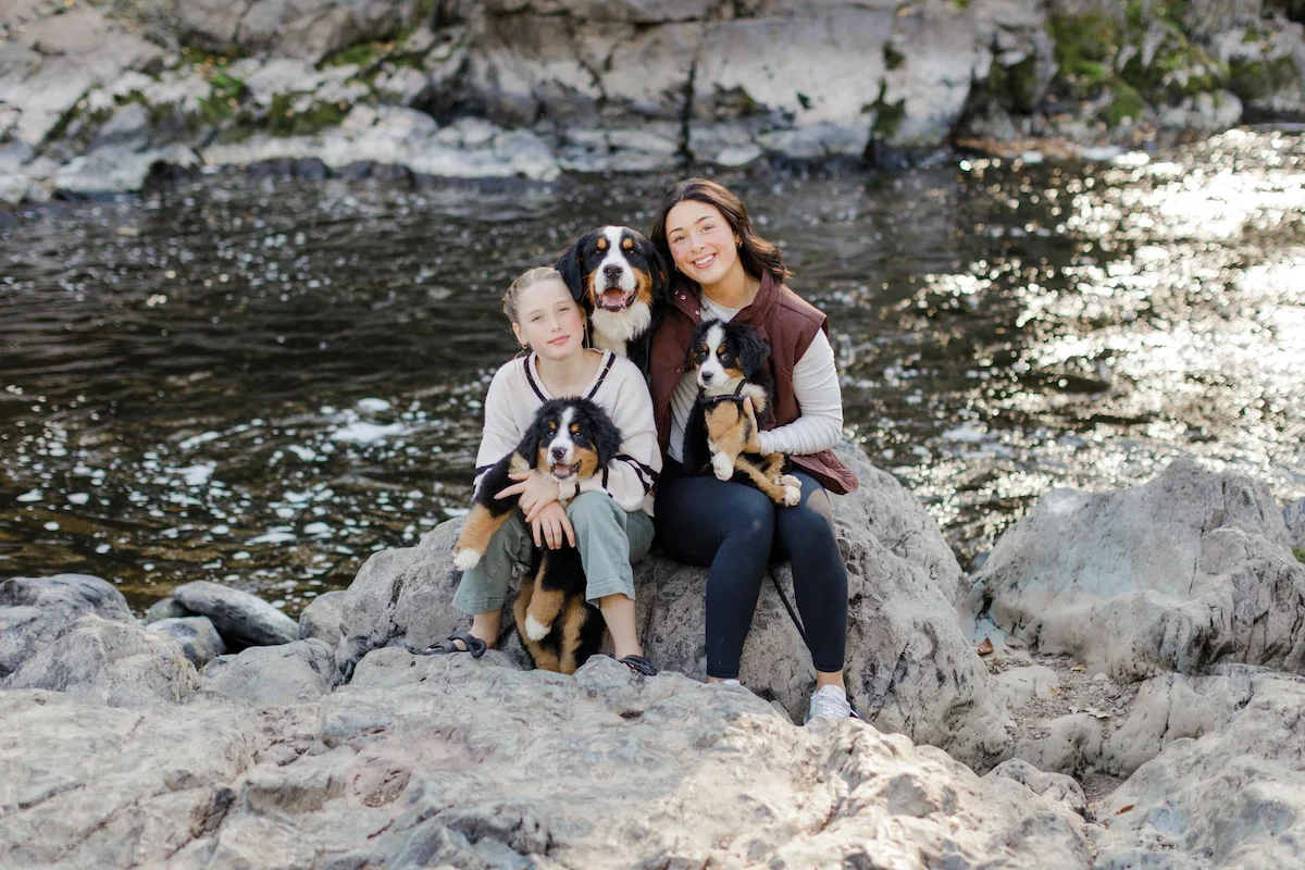 Wisconsin doodle breeders with available puppies raised in a family environment.