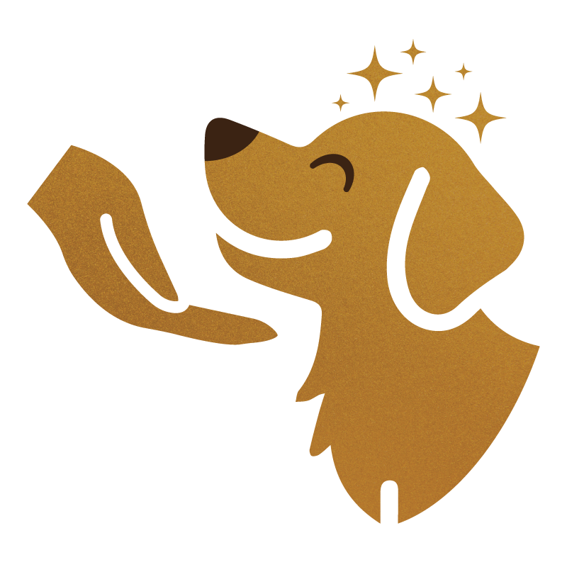 Understanding the “Second Fear Period” in Intelligent Dogs