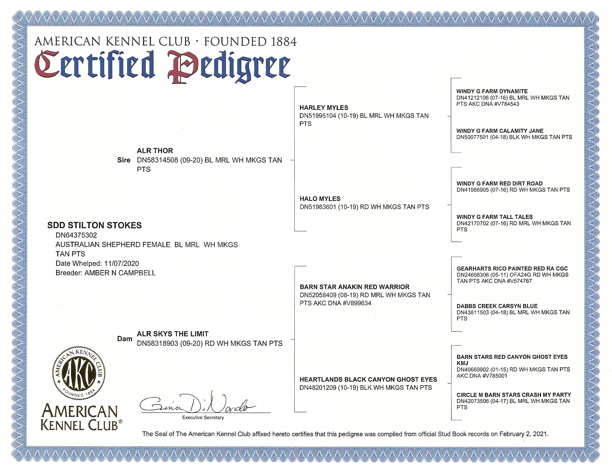 Stilly-Stokes-AKC-Pedigree.jpeg