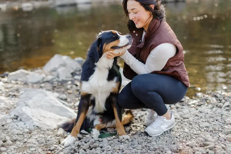 Top Reputable and responsible Doodle dog breeder in Midwest Wisconsin.