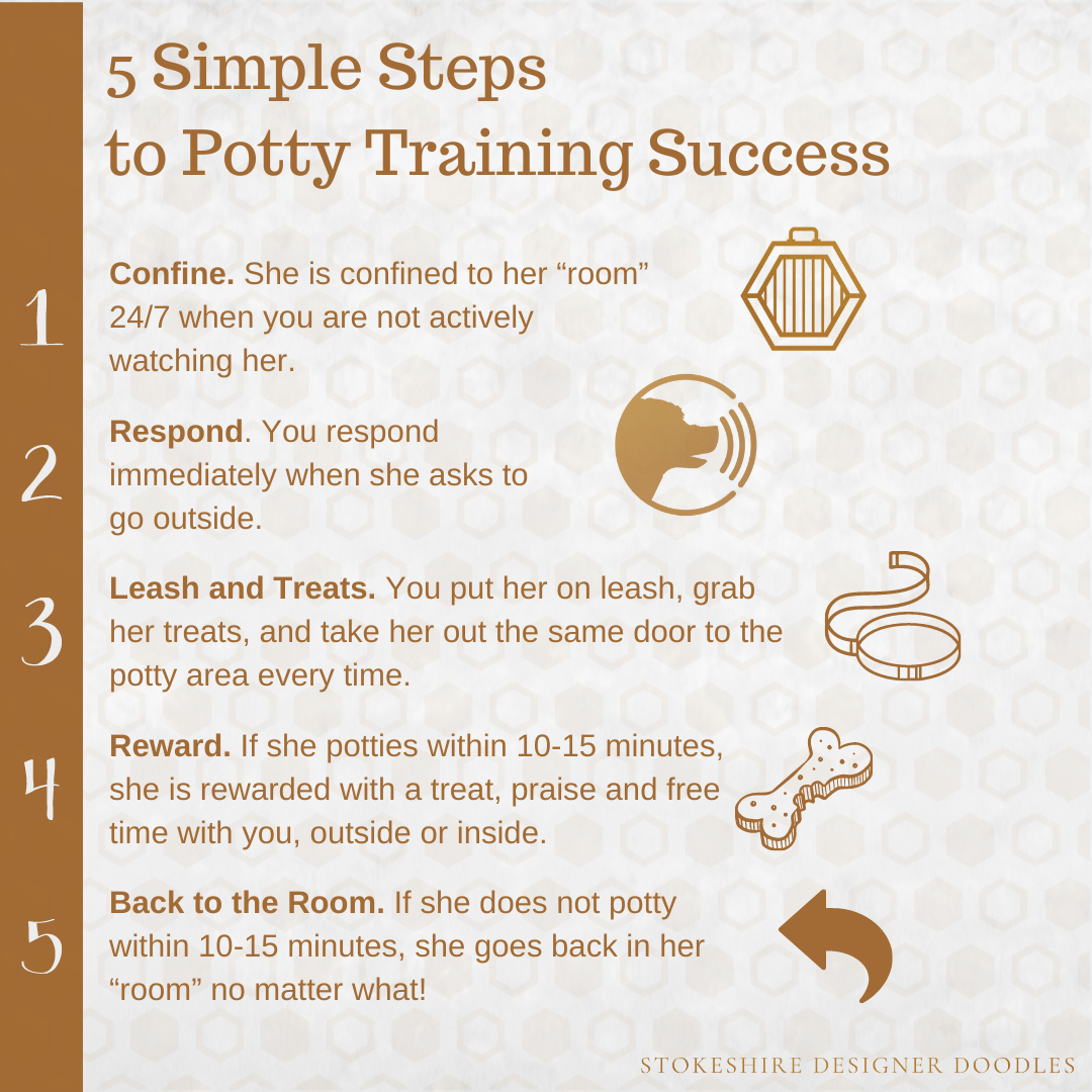 crate method potty training