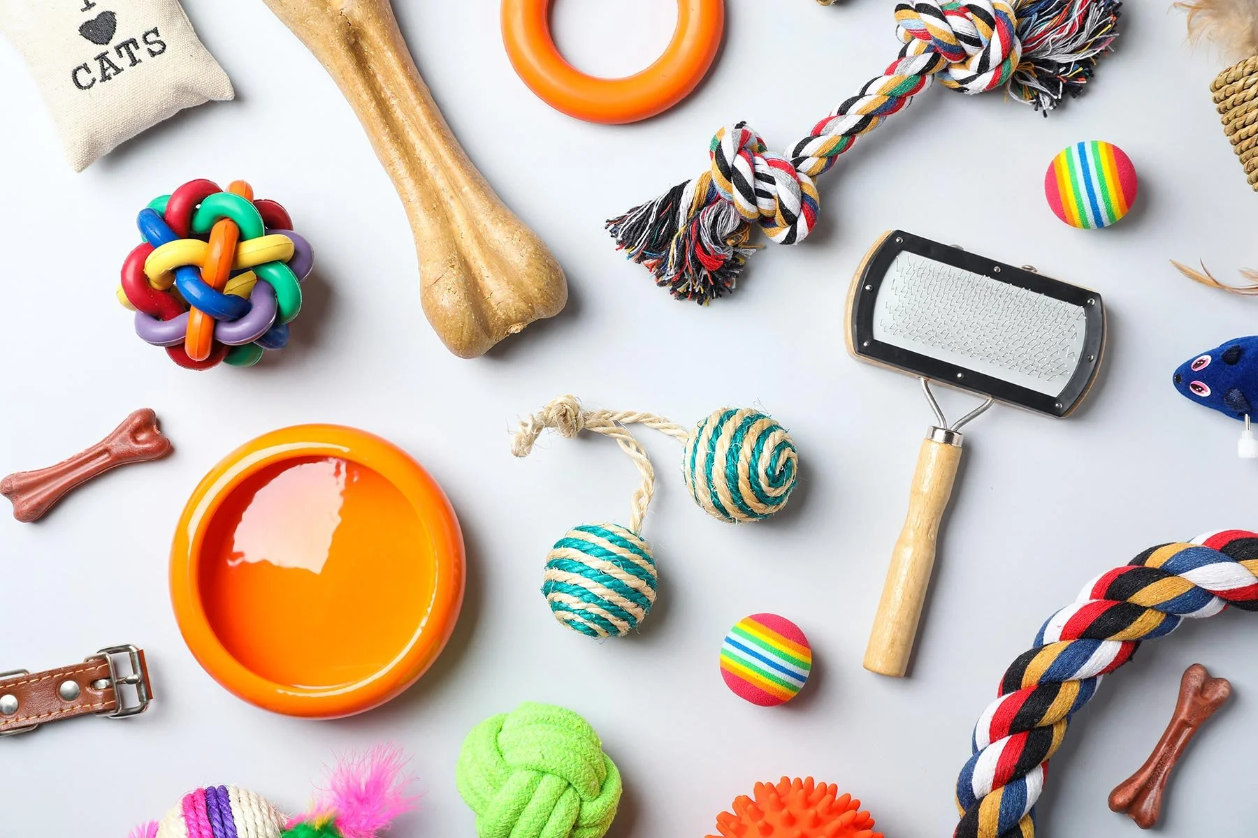 Balanced Curriculum: Nurturing Well-Rounded, Anxiety-Free Companions