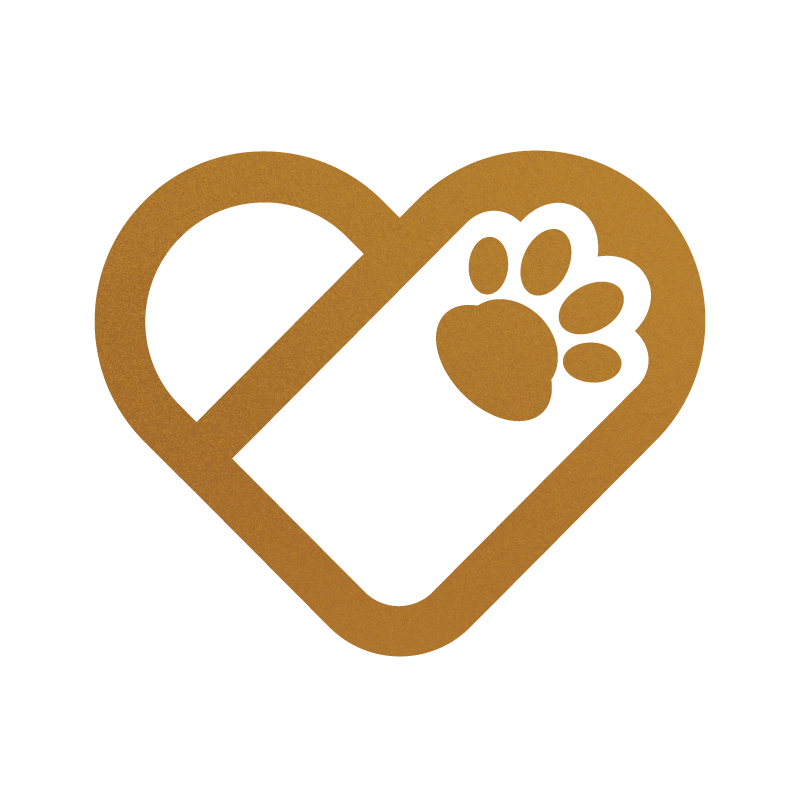 Raising and Training Therapy-Grade Dogs: Stokeshire’s Method