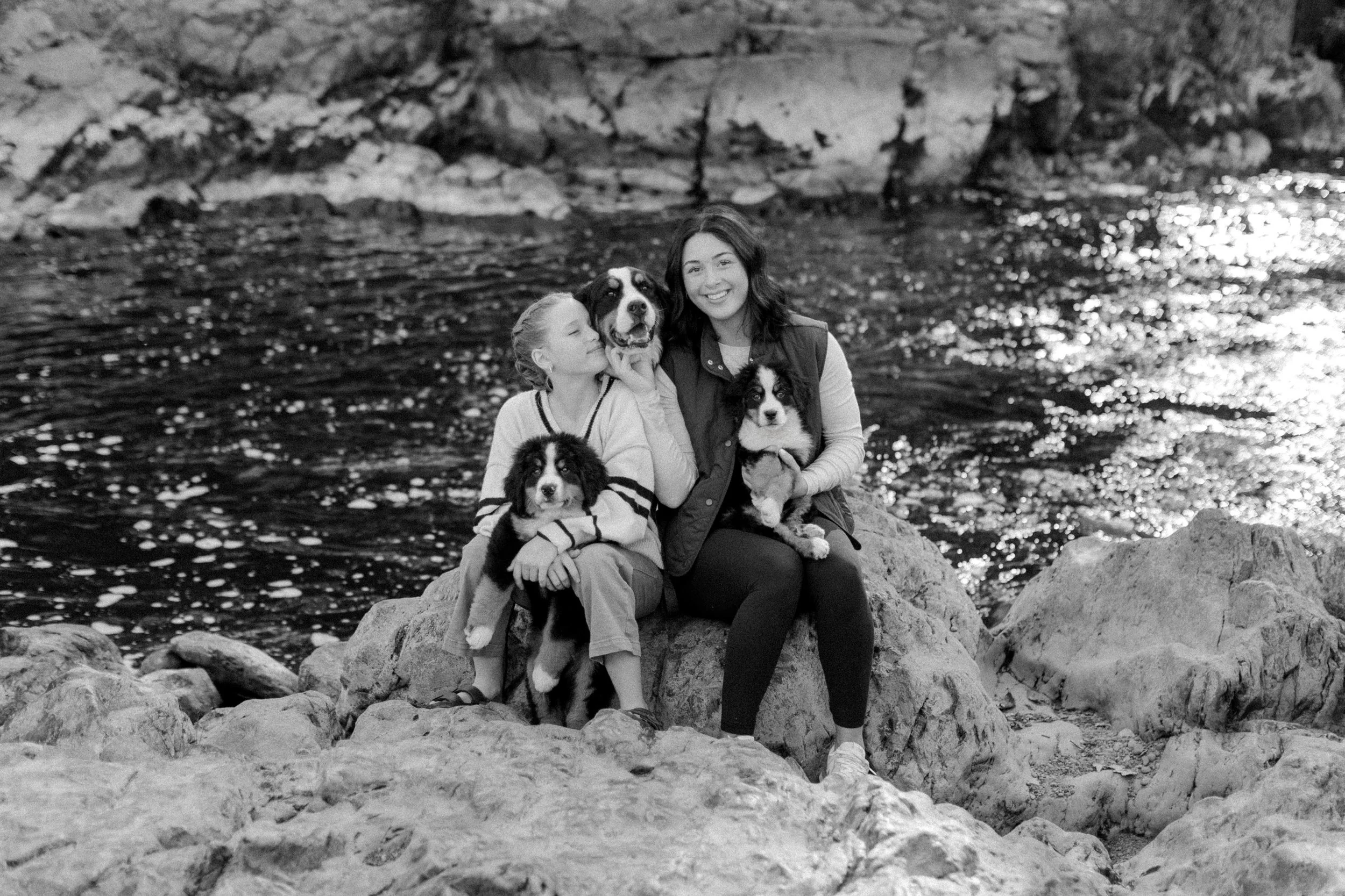 Children with well-trained family dogs - companion-ready behavior