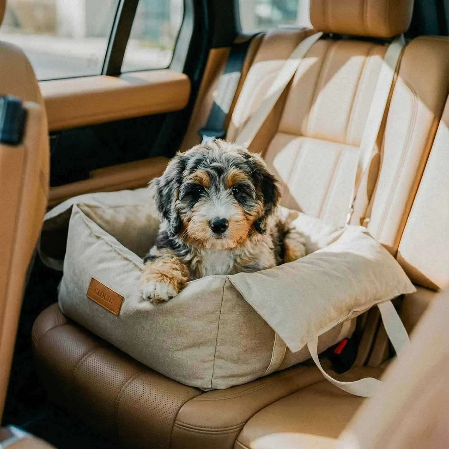 High-end dog car seat by Cloud7 featured in the Stokeshire Lifestyle collection, with a young doodle puppy riding securely on tan leather seats inside a luxury vehicle.