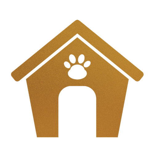 Bringing your puppy home