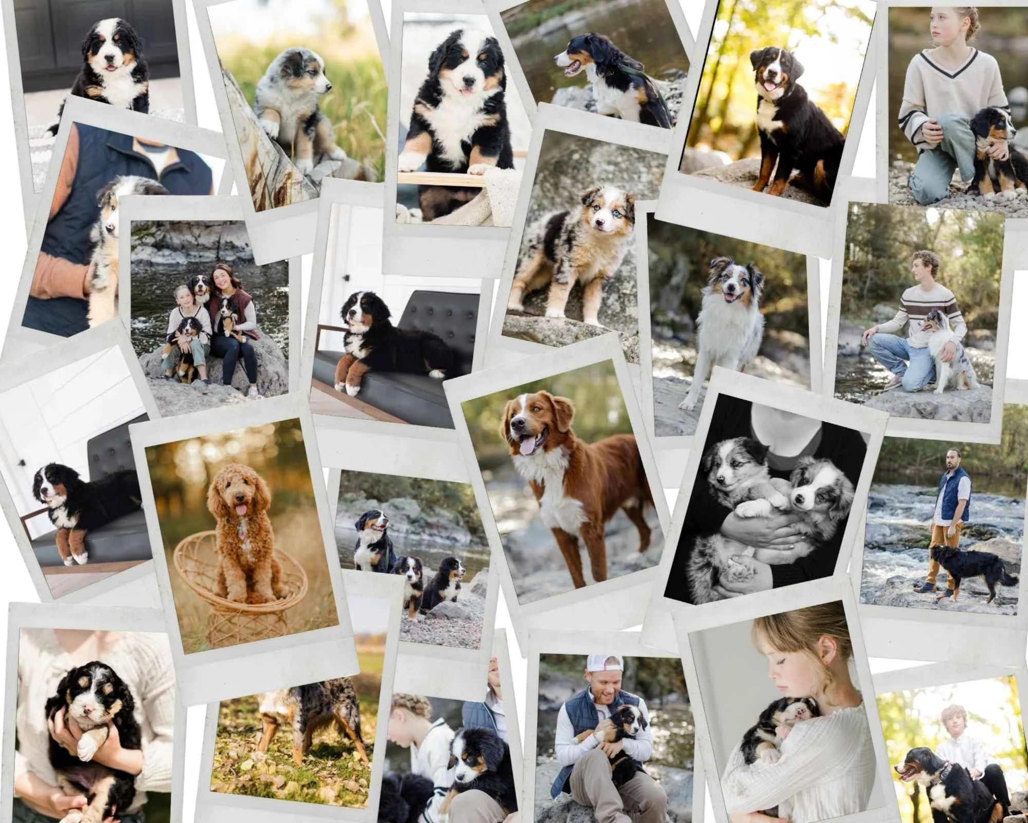 STOKESHIRE BRAND COLLAGE 2025.jpg