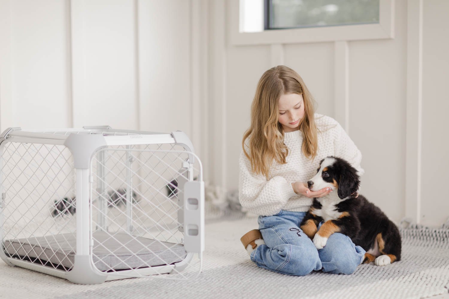 What's Included in the Companion Collection