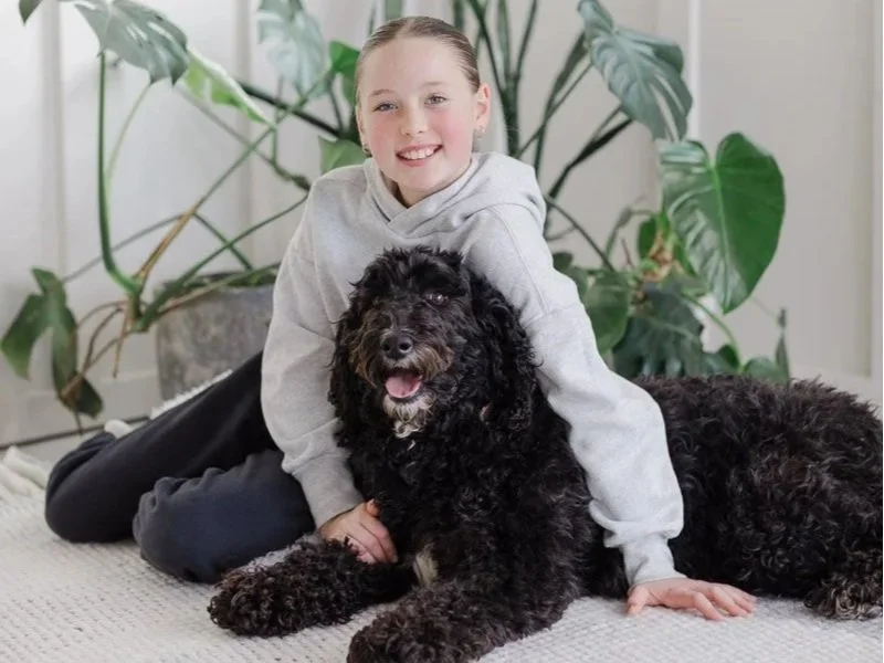 puppy adolescent regression stokeshire