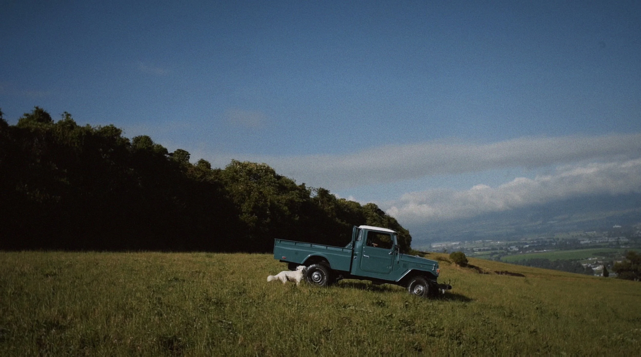 Tezza-1117.JPG