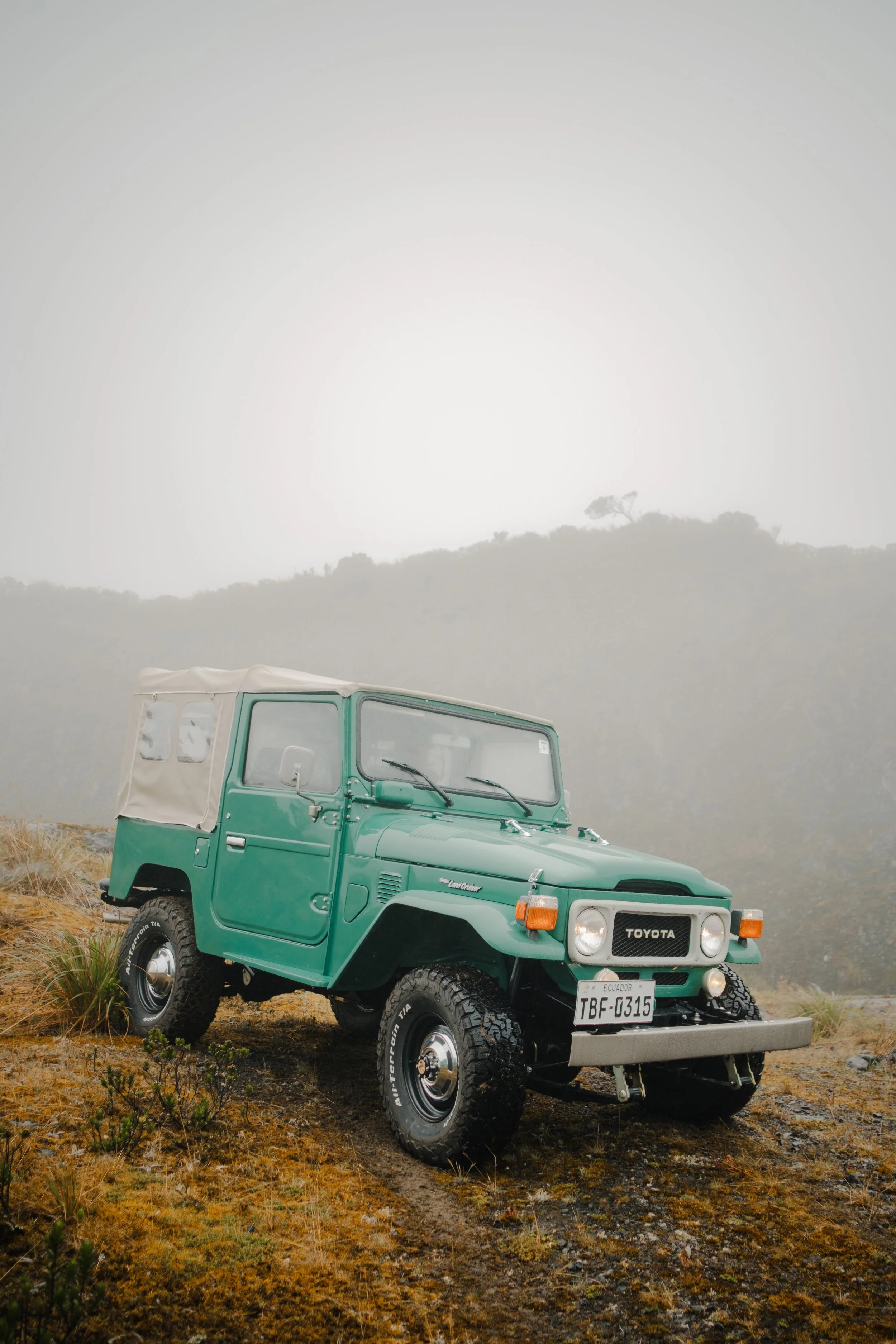 desolsept26-preselects-13.jpg