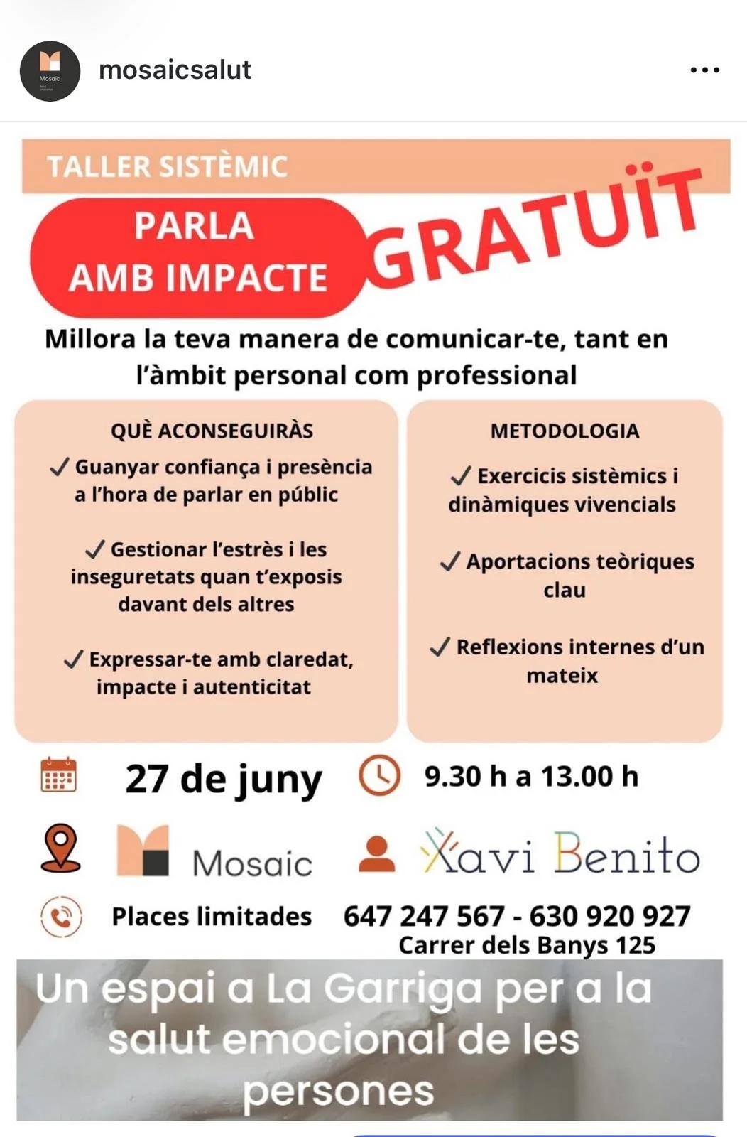 TALLER SISTEMIC: PARLA AMB IMPACTE 