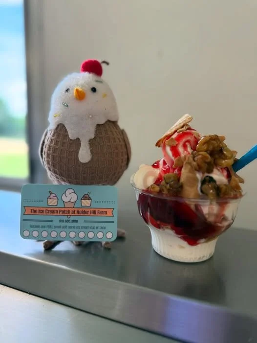 Ice Cream Patch 2.jpg