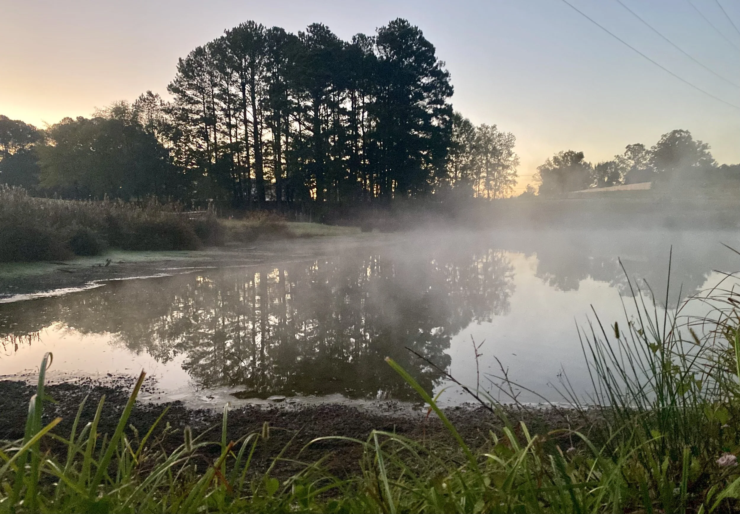 Early morning fog over a lake at Holder Hill Farm