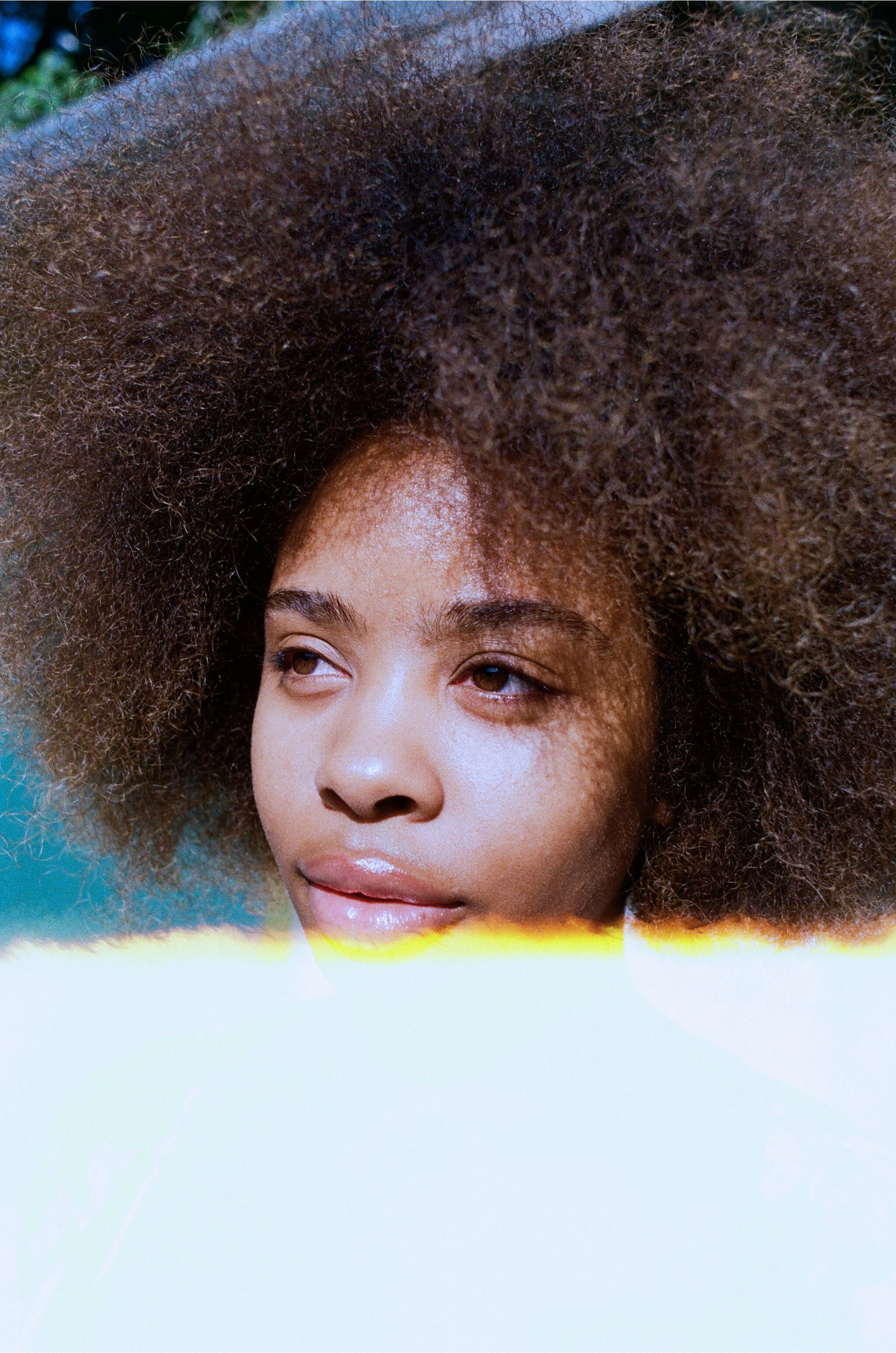 Untitled design (8).jpg