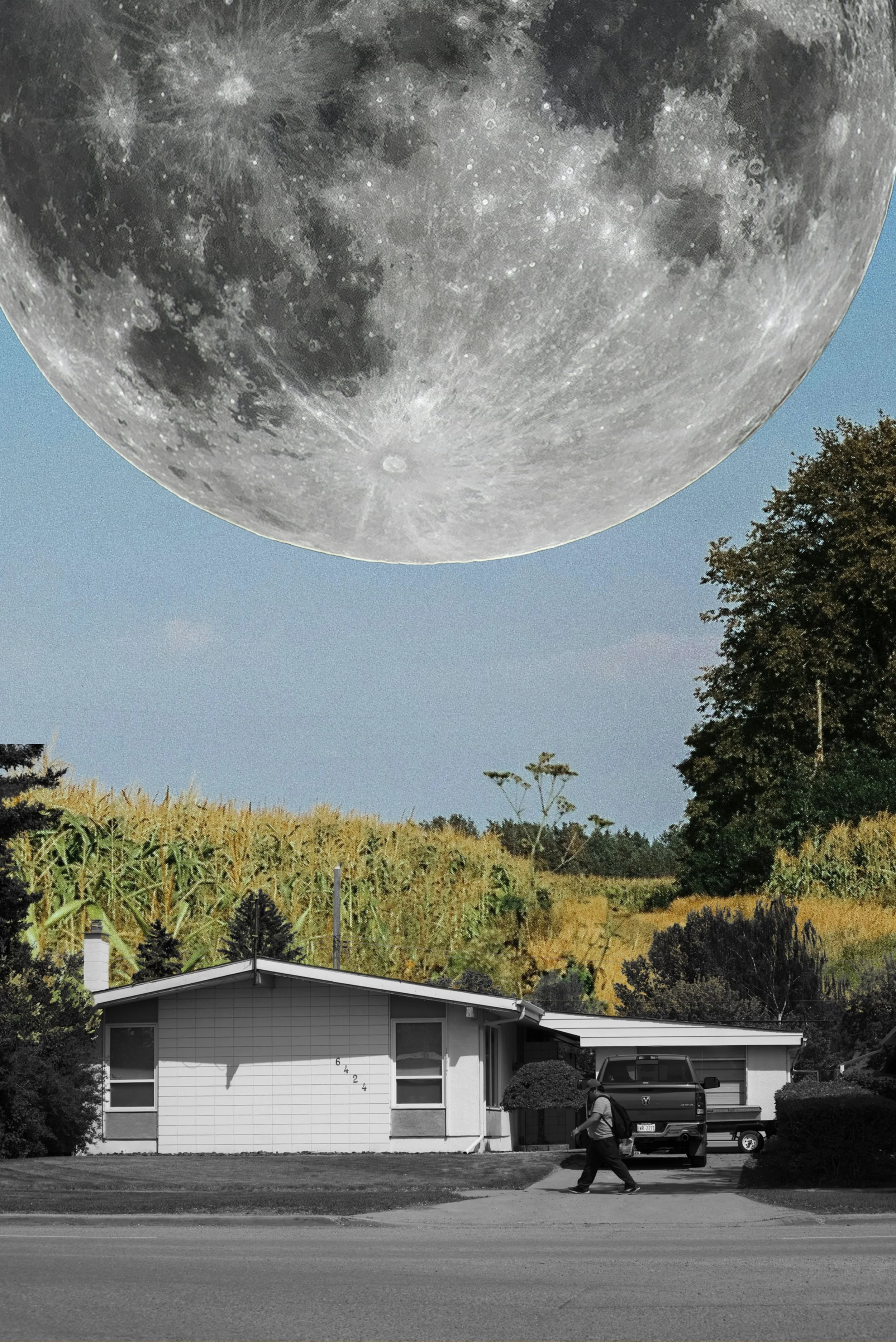 Untitled design (9) copy 2.jpg