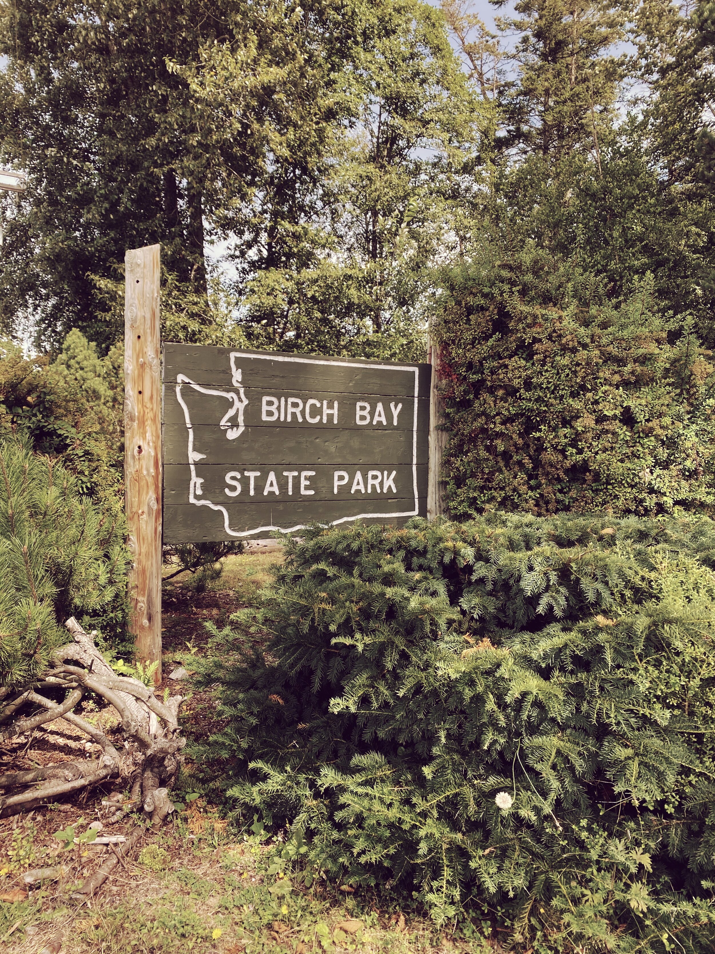 Birch Bay State Park Welcome sign