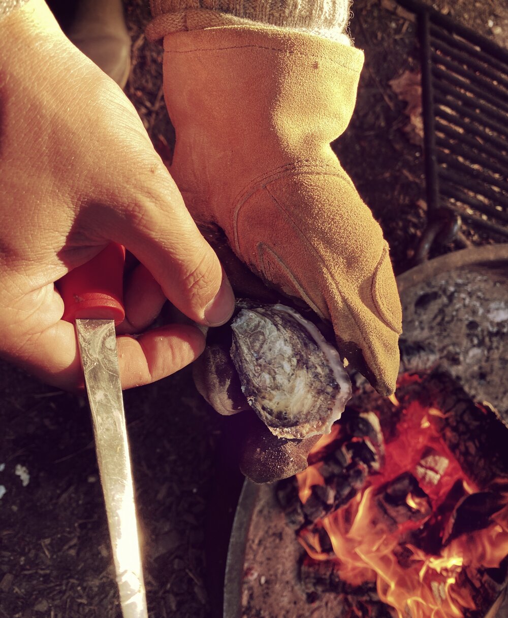 Shucking oysters by the campfire Taylor Shellfish