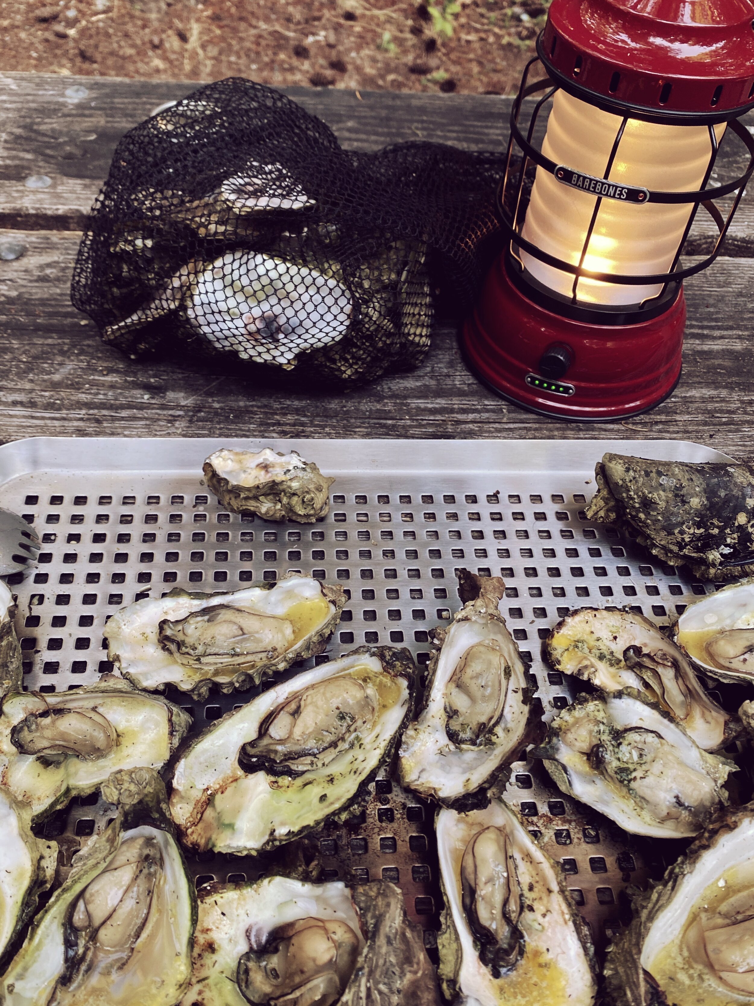 Barebones Living Forest Lantern and grilled oysters