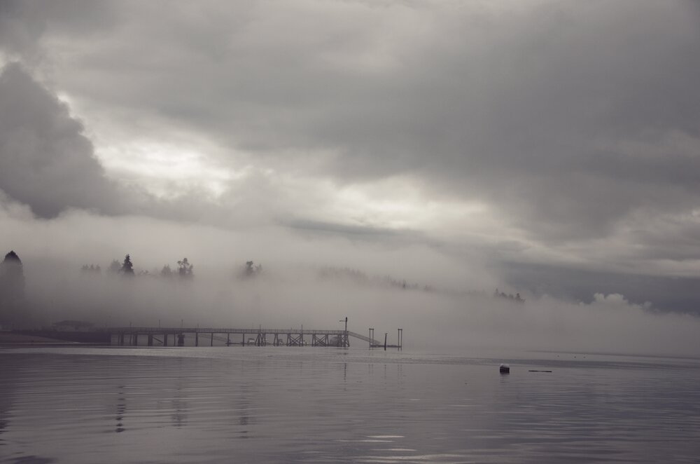 Pier in the mist and fog at Kitsap Memorial State Park in Washington State