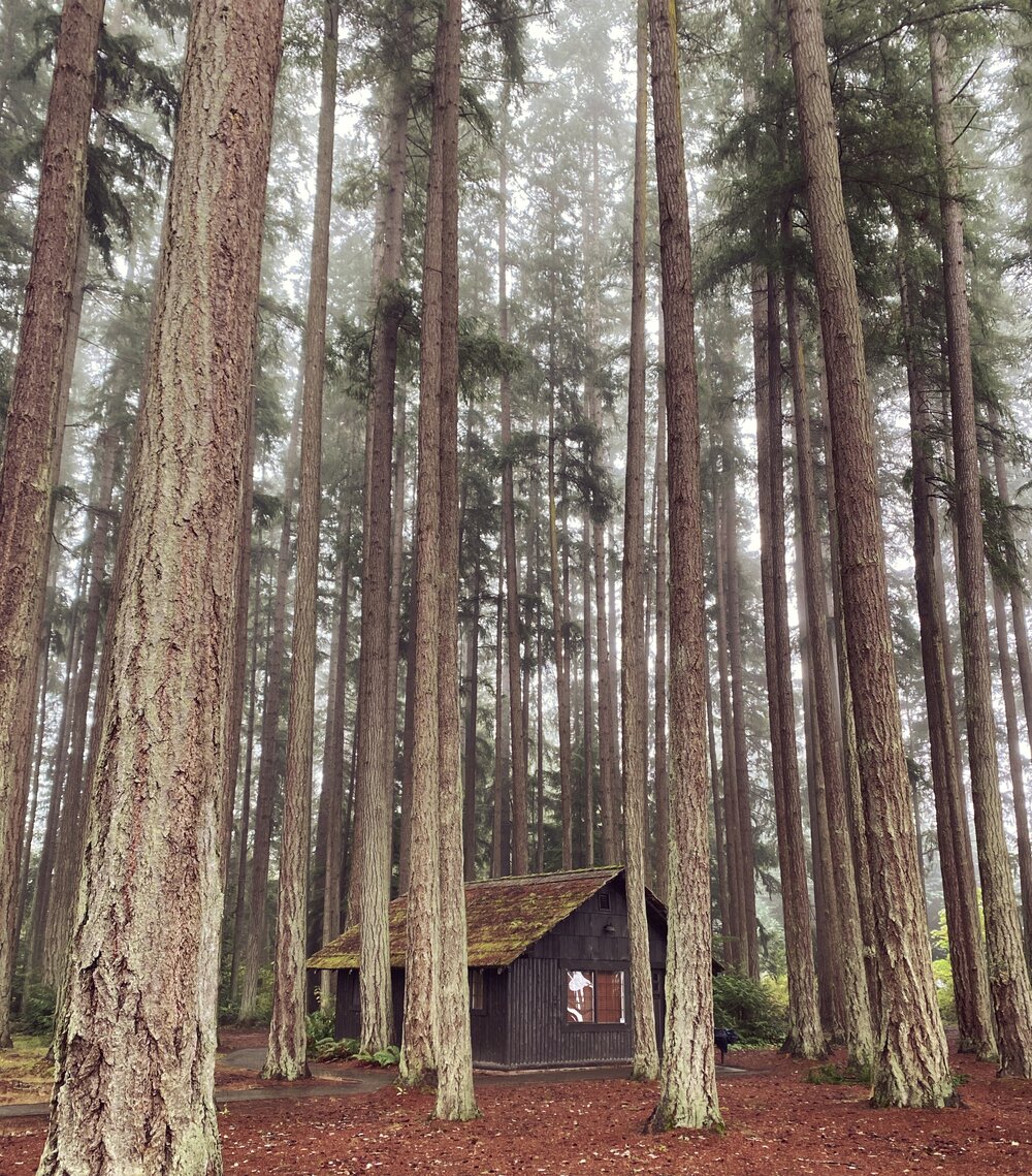Cabin in the woods at Kitsap Memorial State Park