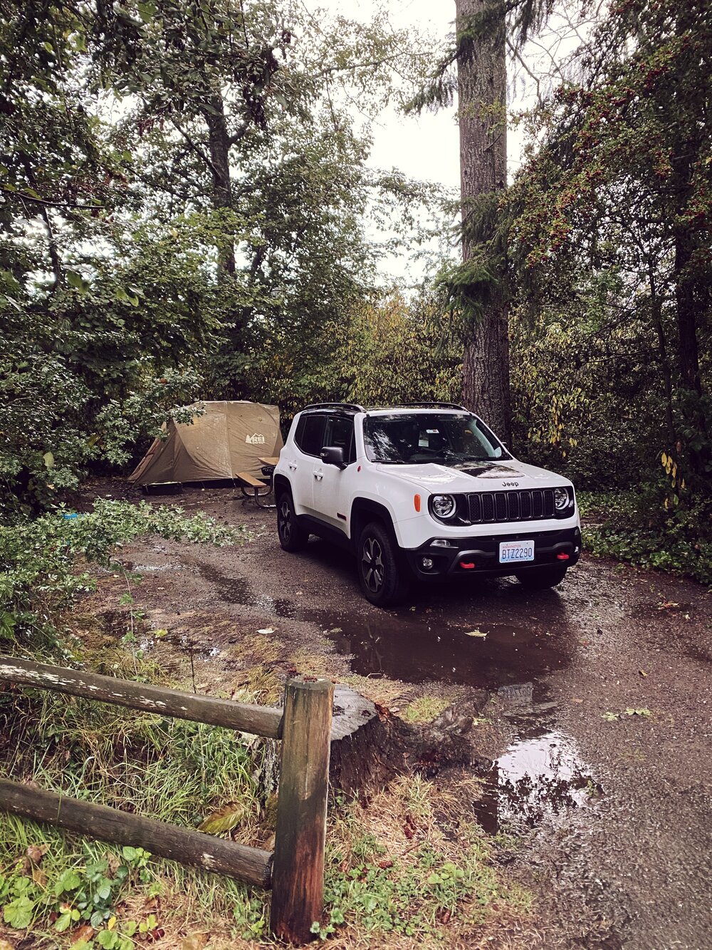 Jeep Renegade Trailhawk in our campsite at Kitsap Memorial State Park next to REI Kingdom 4 Tent