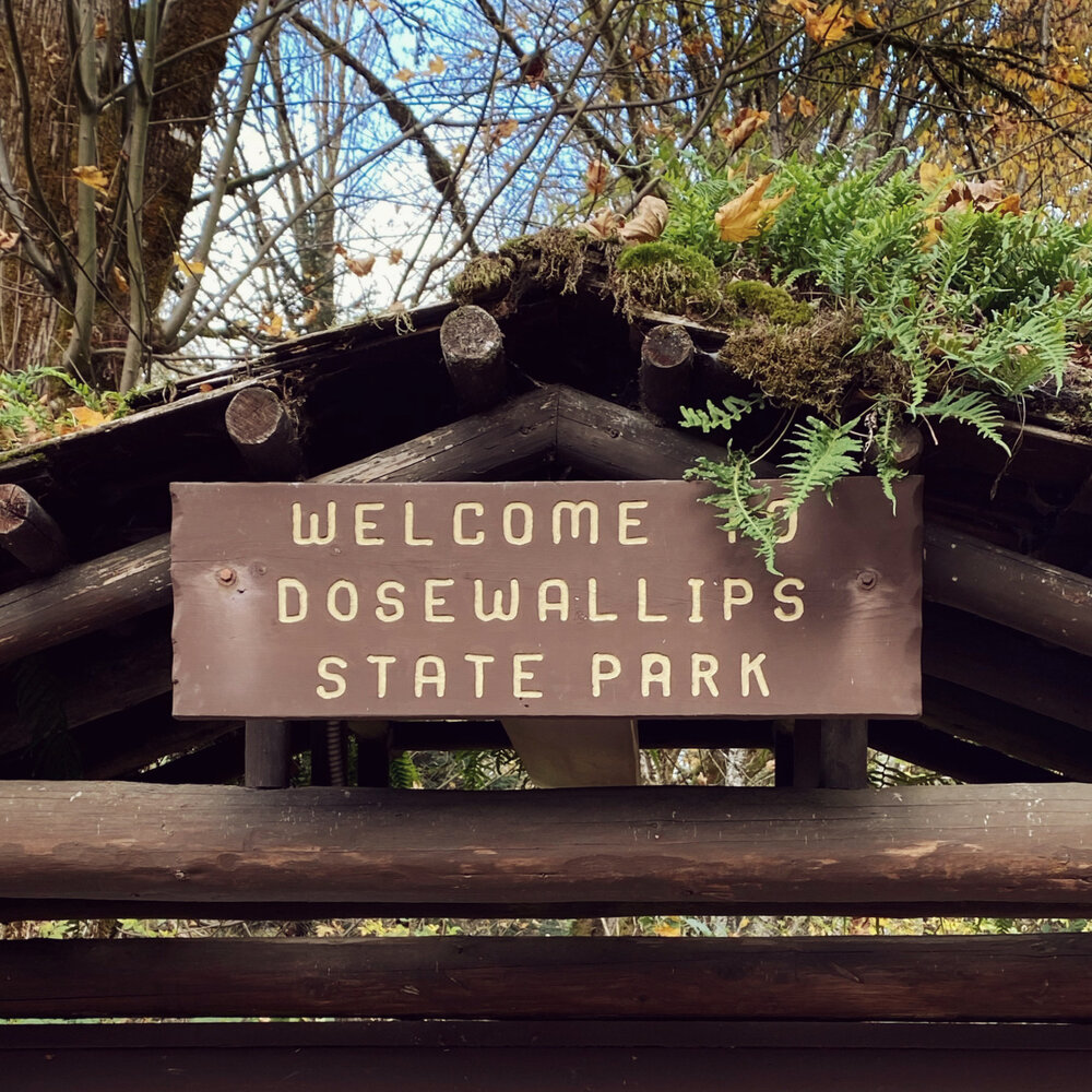 Welcome to Dosewallips State Park
