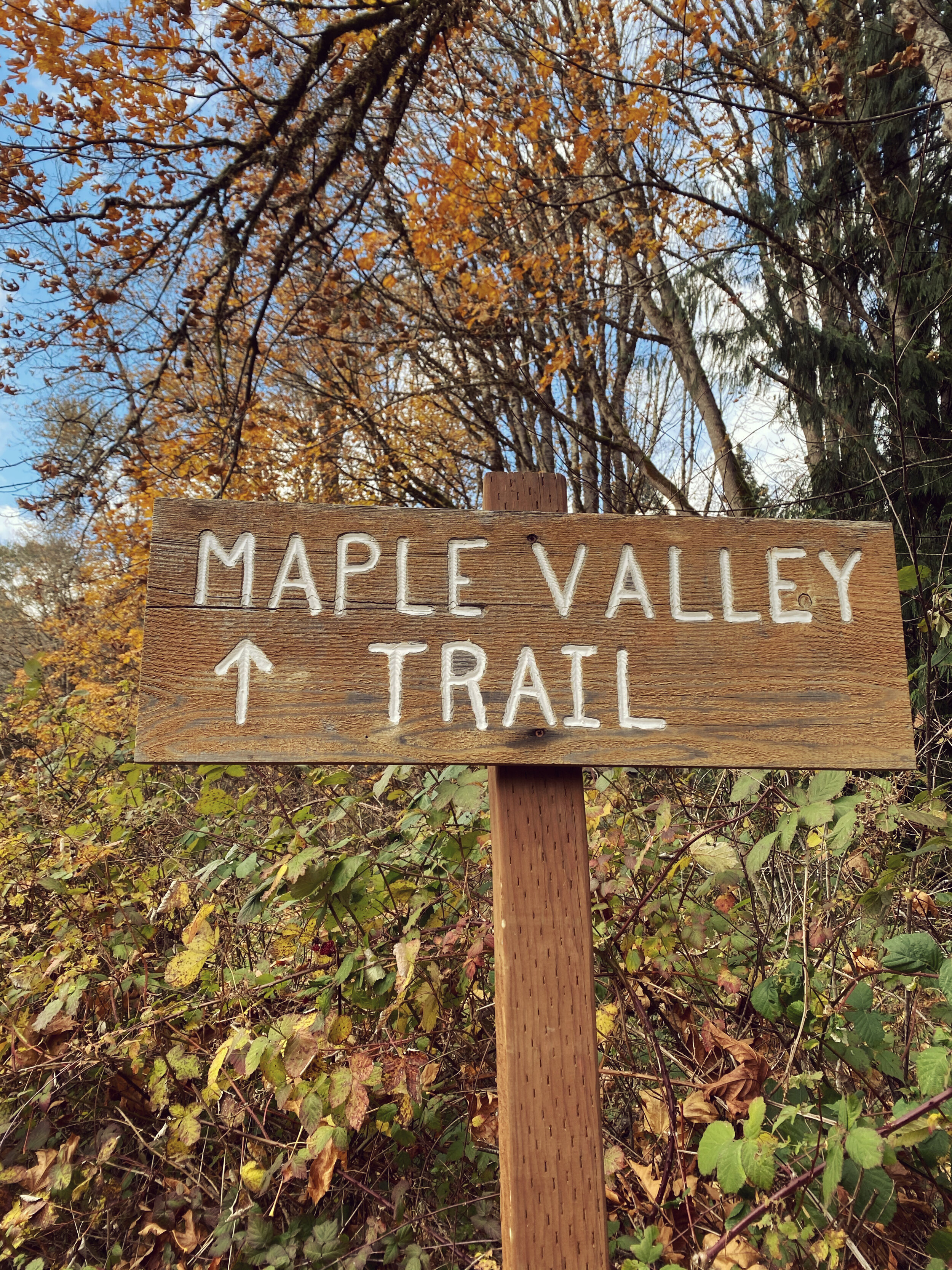 Maple Valley Trailhead