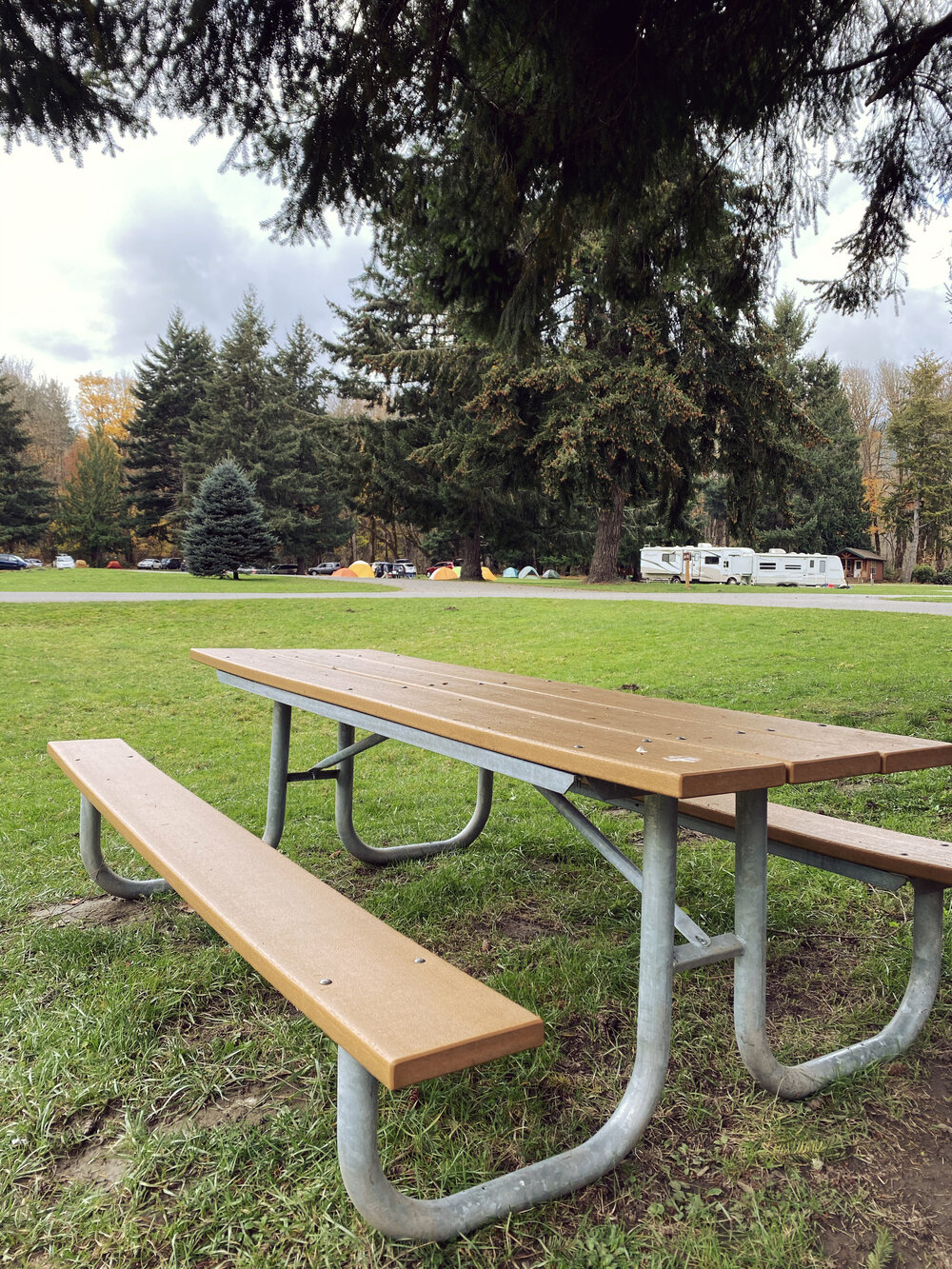 Picnic tables at Dosewallips campground