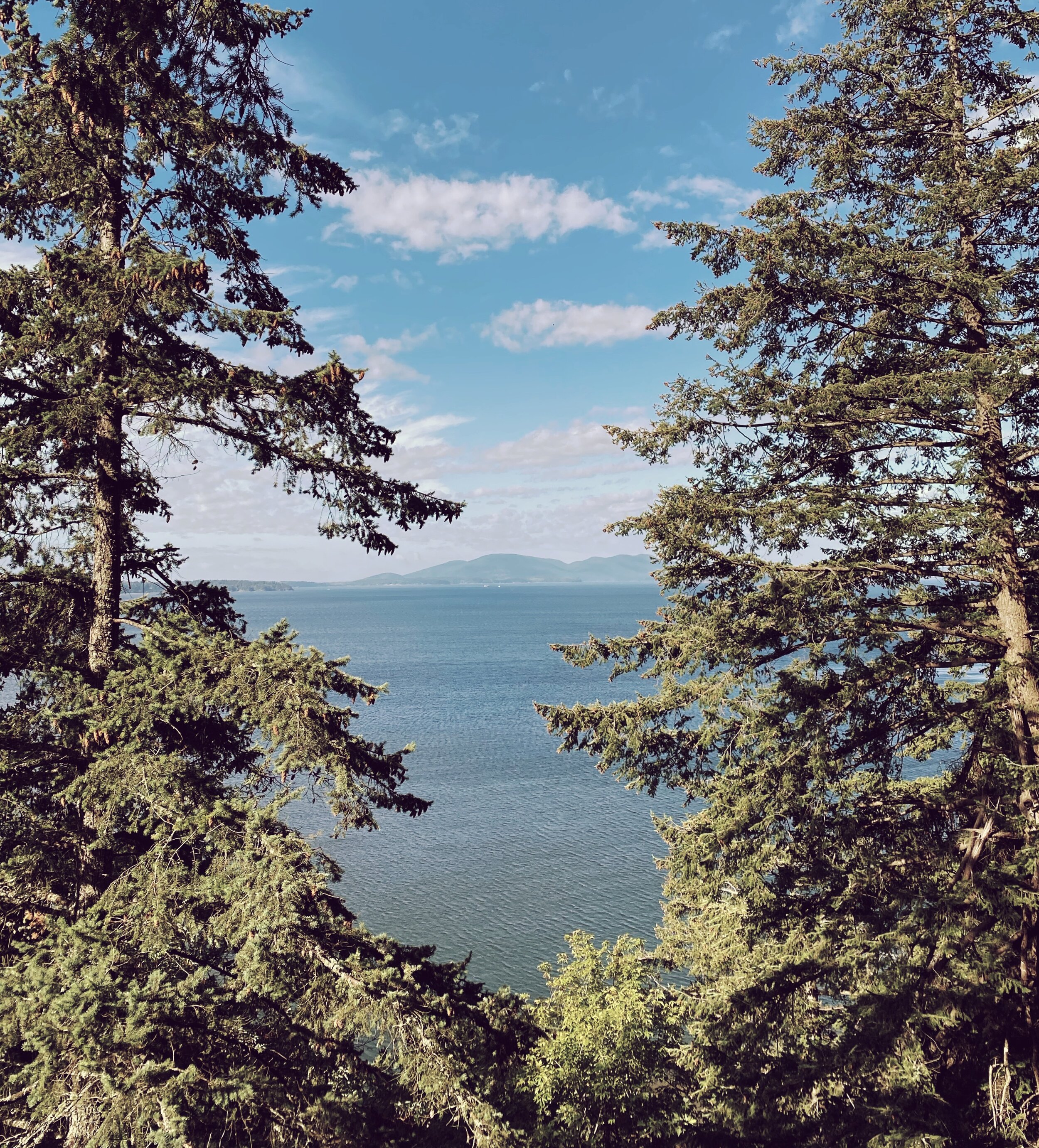 View from the famous Chuckanut Drive in Washington State (Copy)