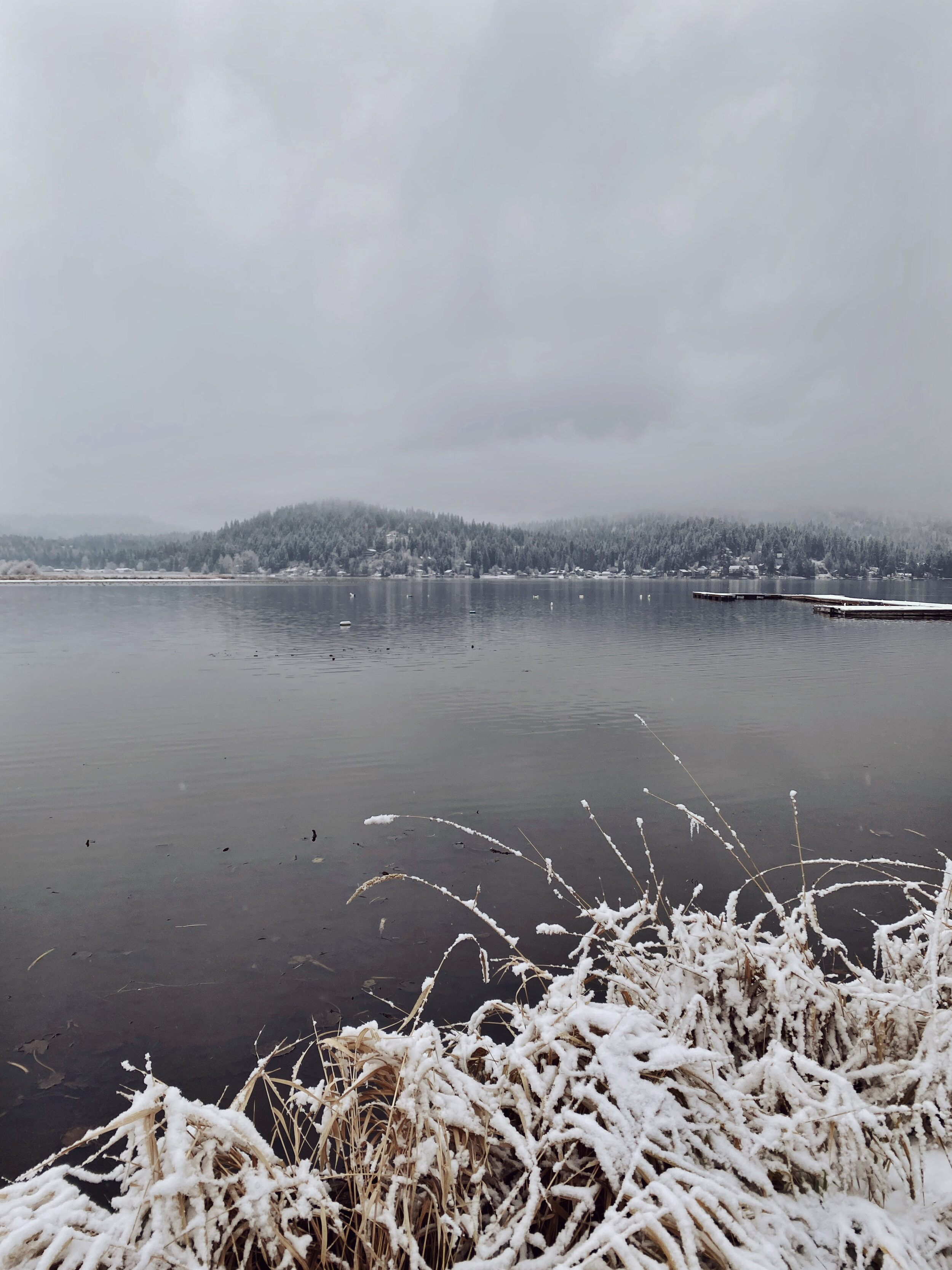 Snowy view over Newman Lake, Washington (Copy)