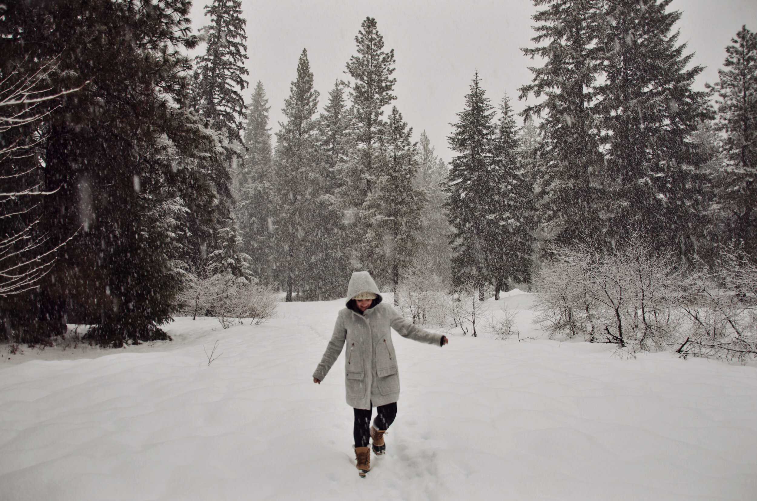 Snow day in the Teanaway Community Forest (Copy)