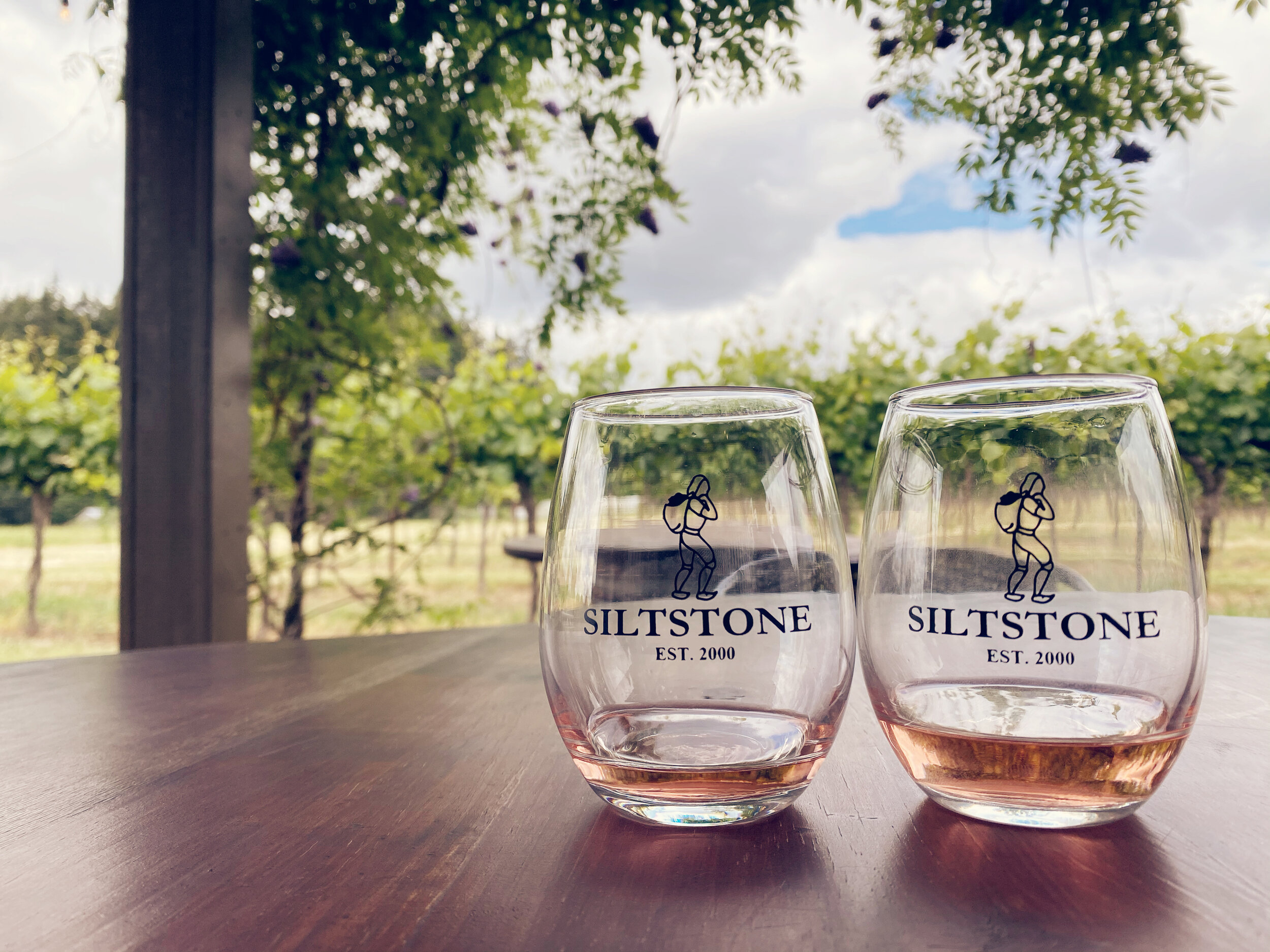 Siltstone Winery in Oregon Wine Country (Copy)