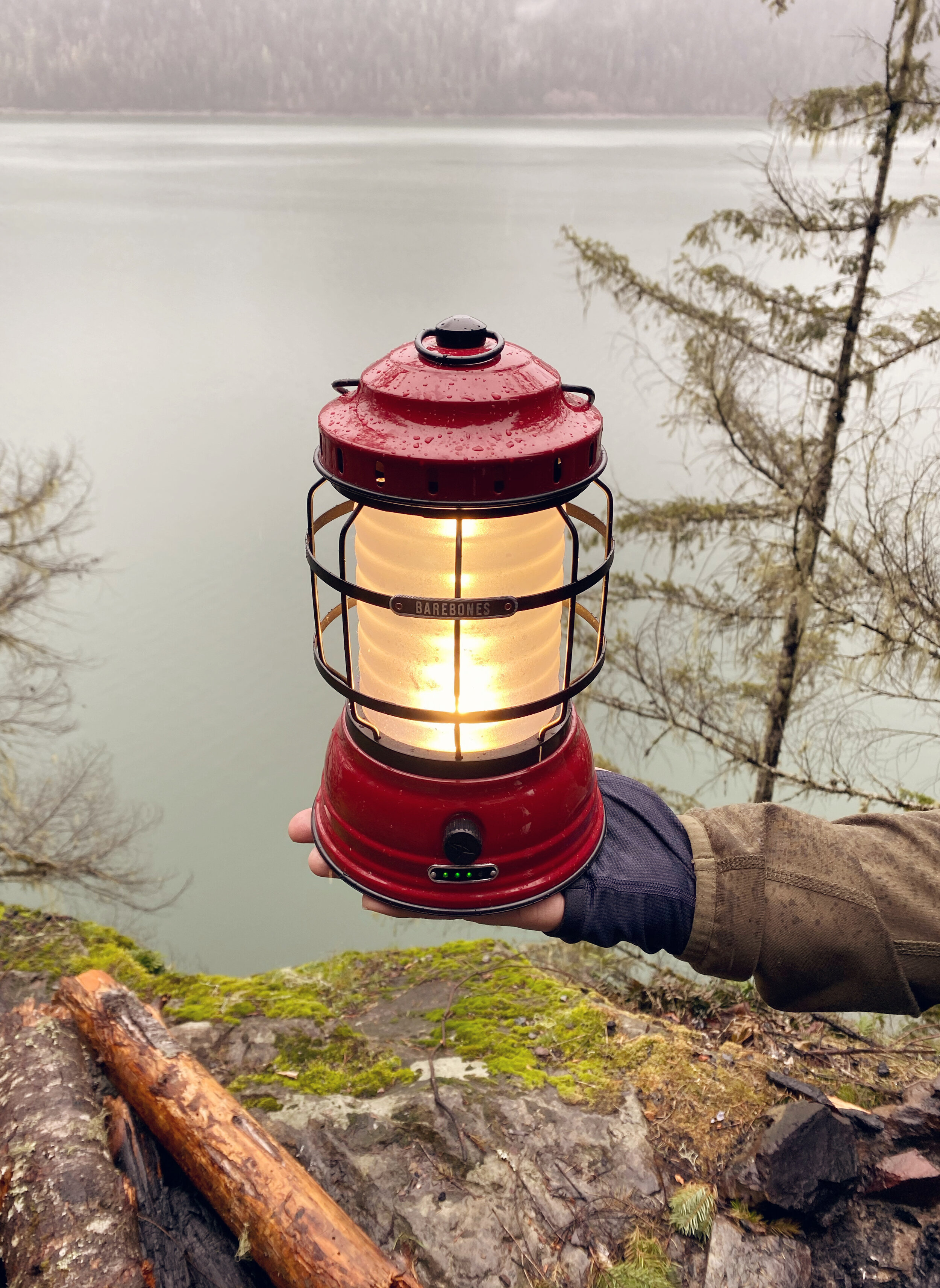 Barebones Living Red Forest Lantern Review