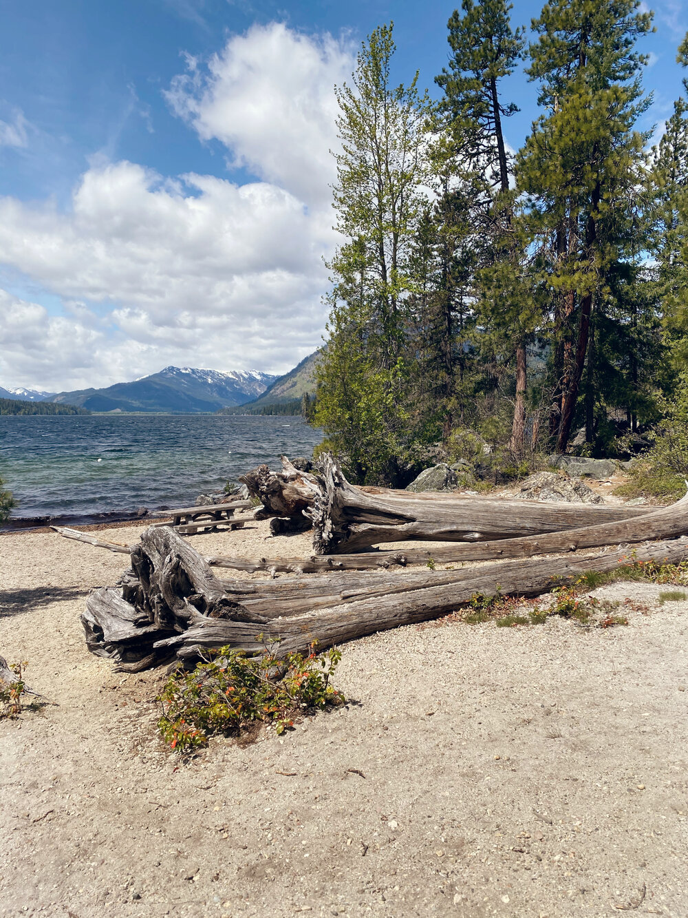 Lake Wenatchee State Park Review