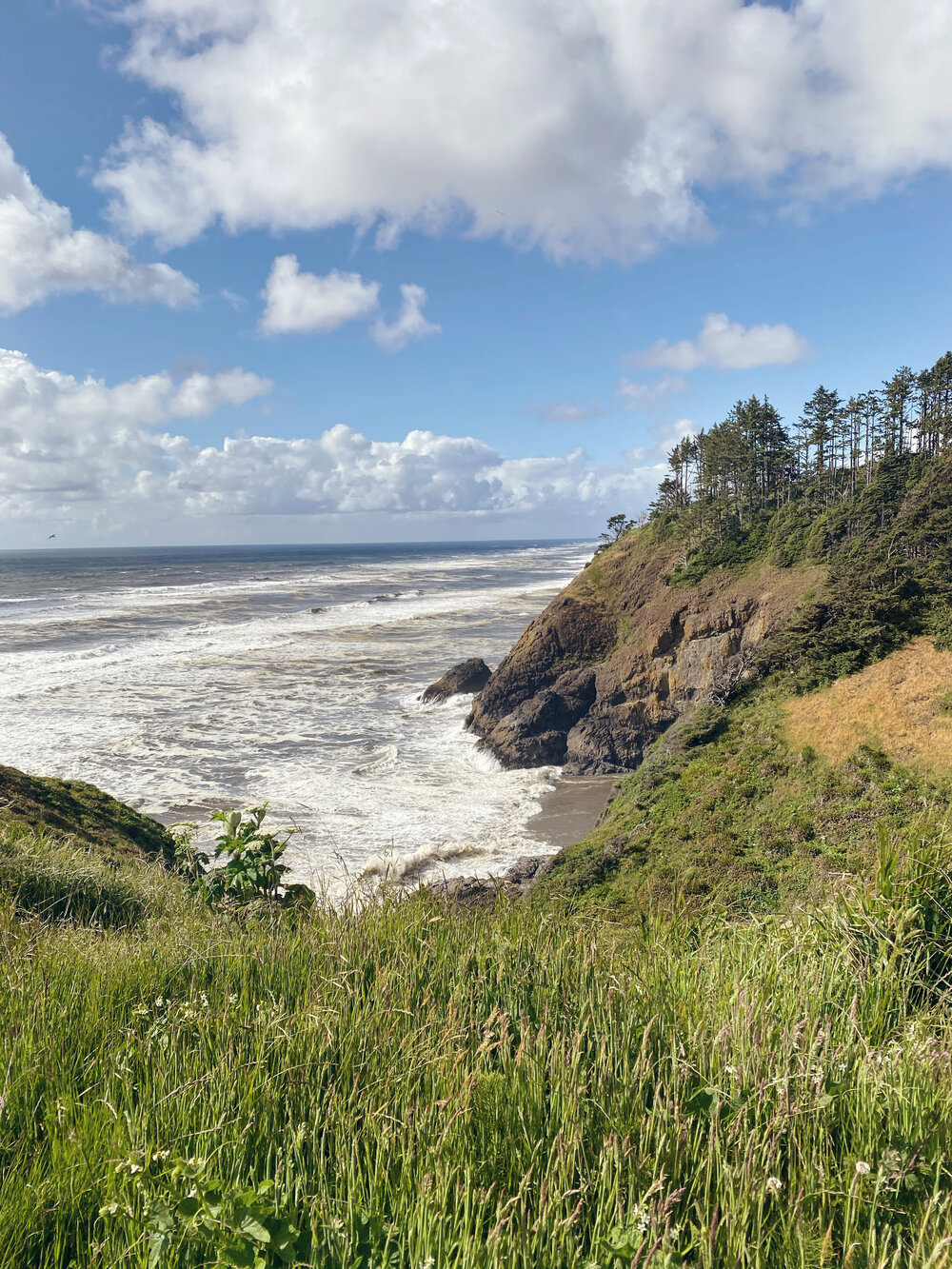 The Beach at Cape Disappointment State Park Review Washington 
