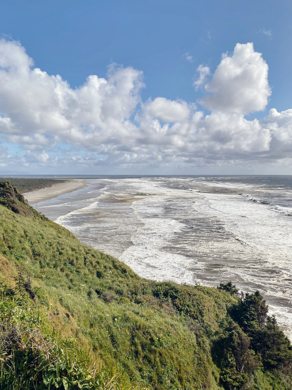 The Beach at Cape Disappointment State Park Review Washington