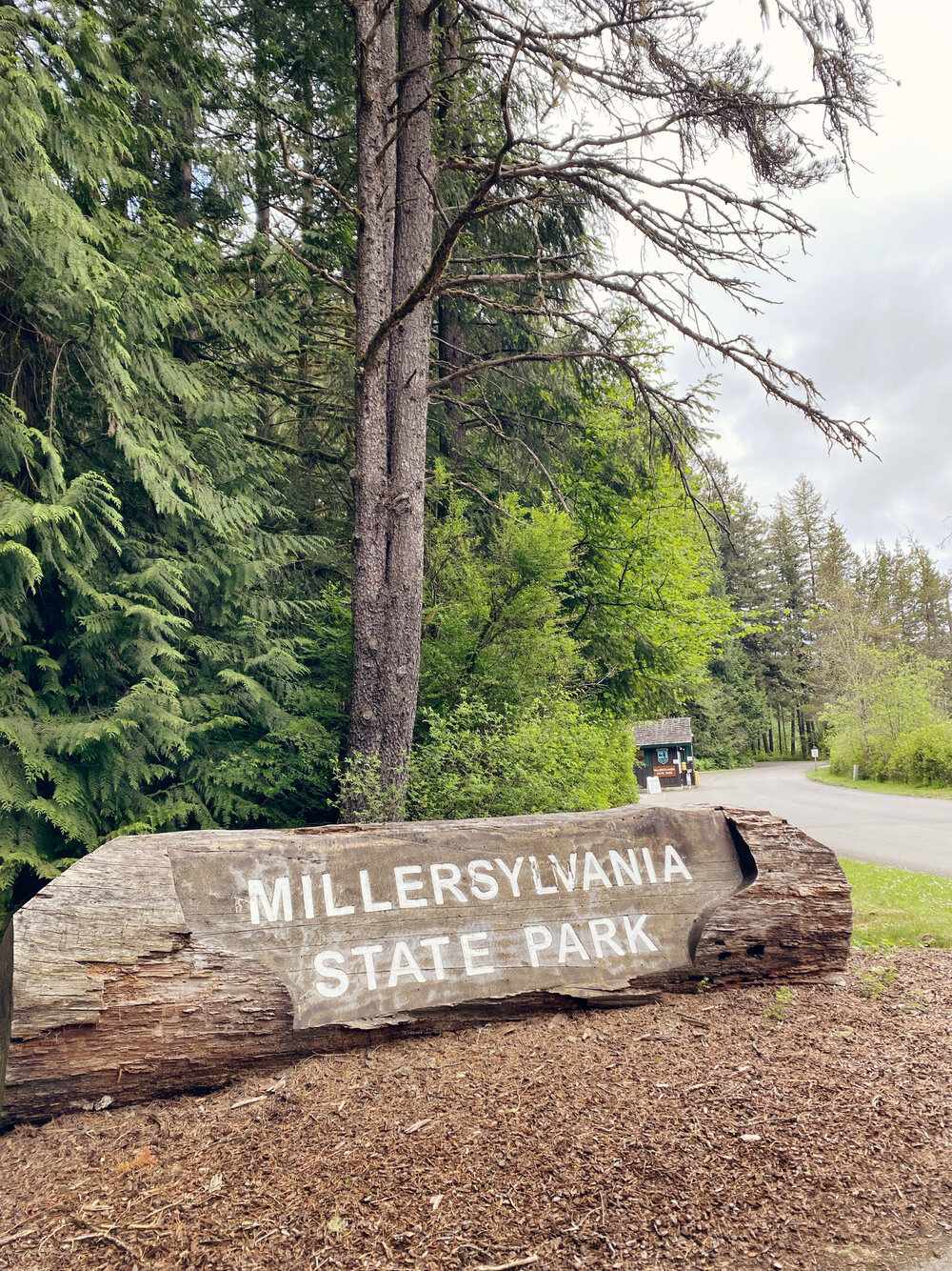 Welcome Sign at Millersylvania State Park