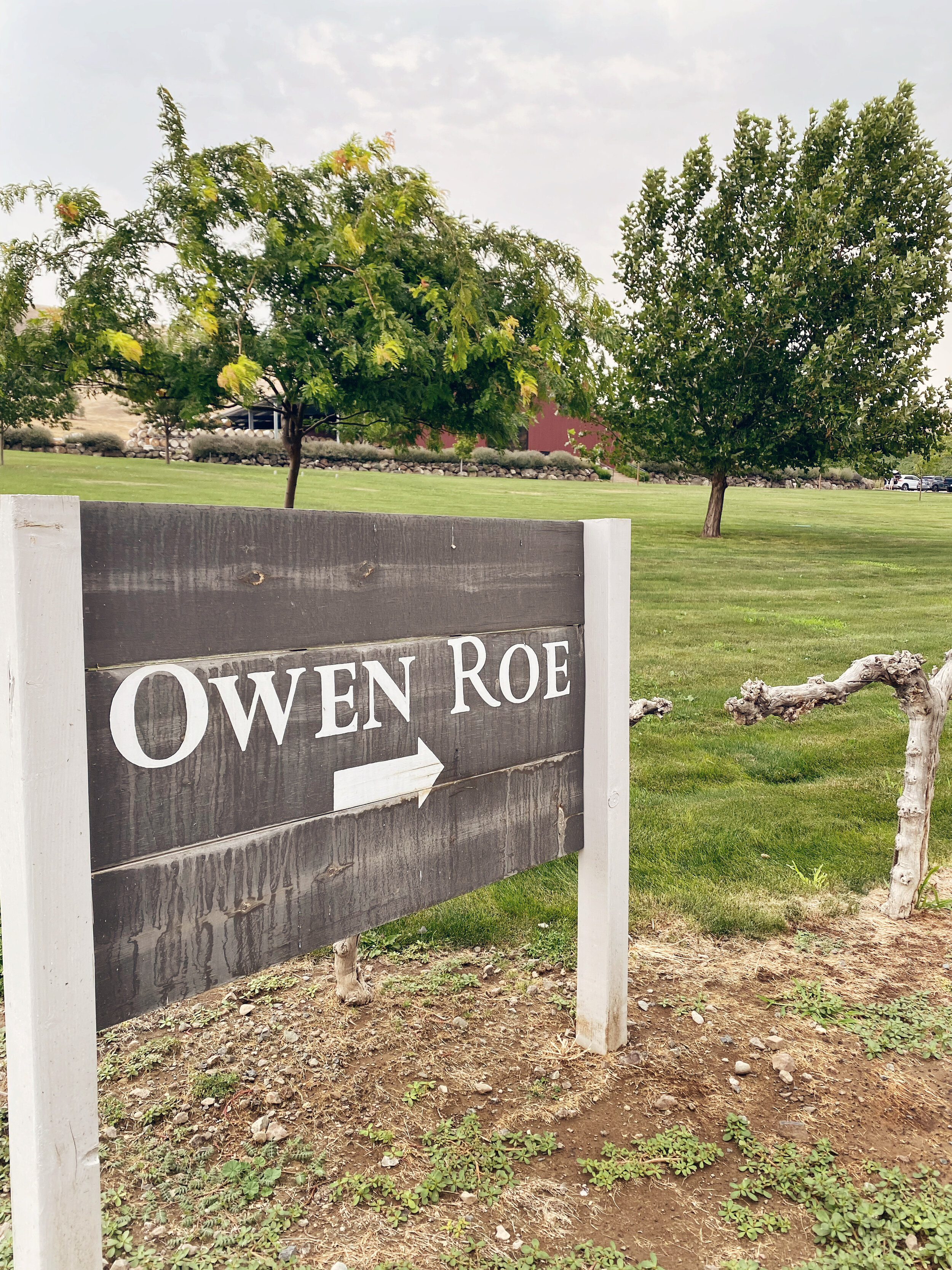 Owen Roe Winery in Washington Wine Country Yakima