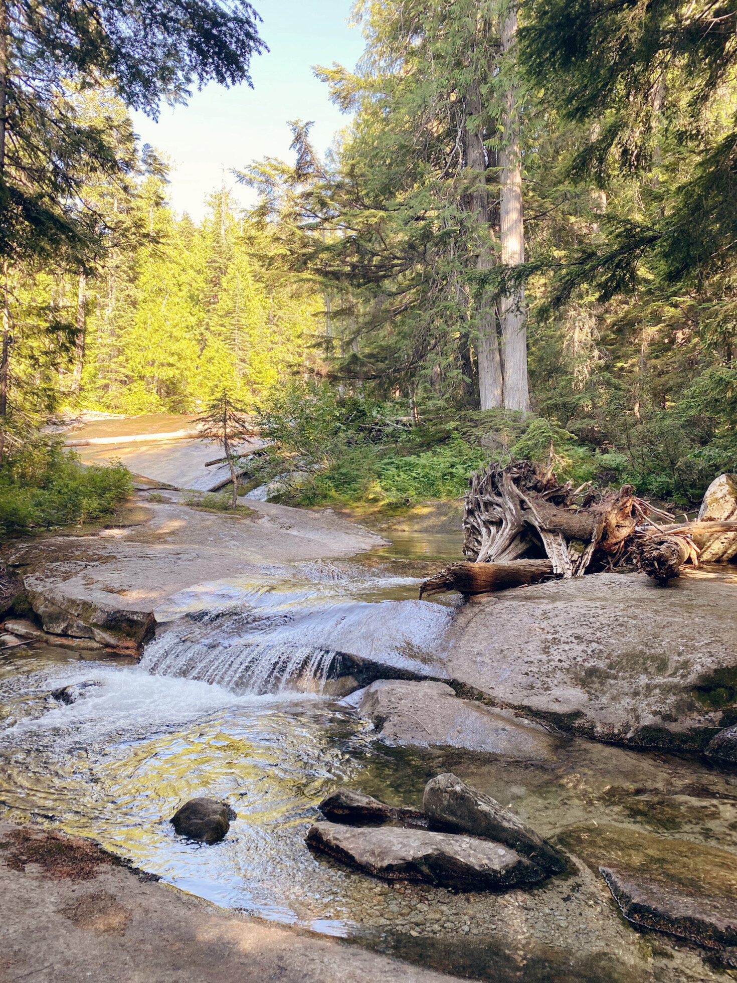 Priest Lake State Park Idaho Full review — hatchet & lantern