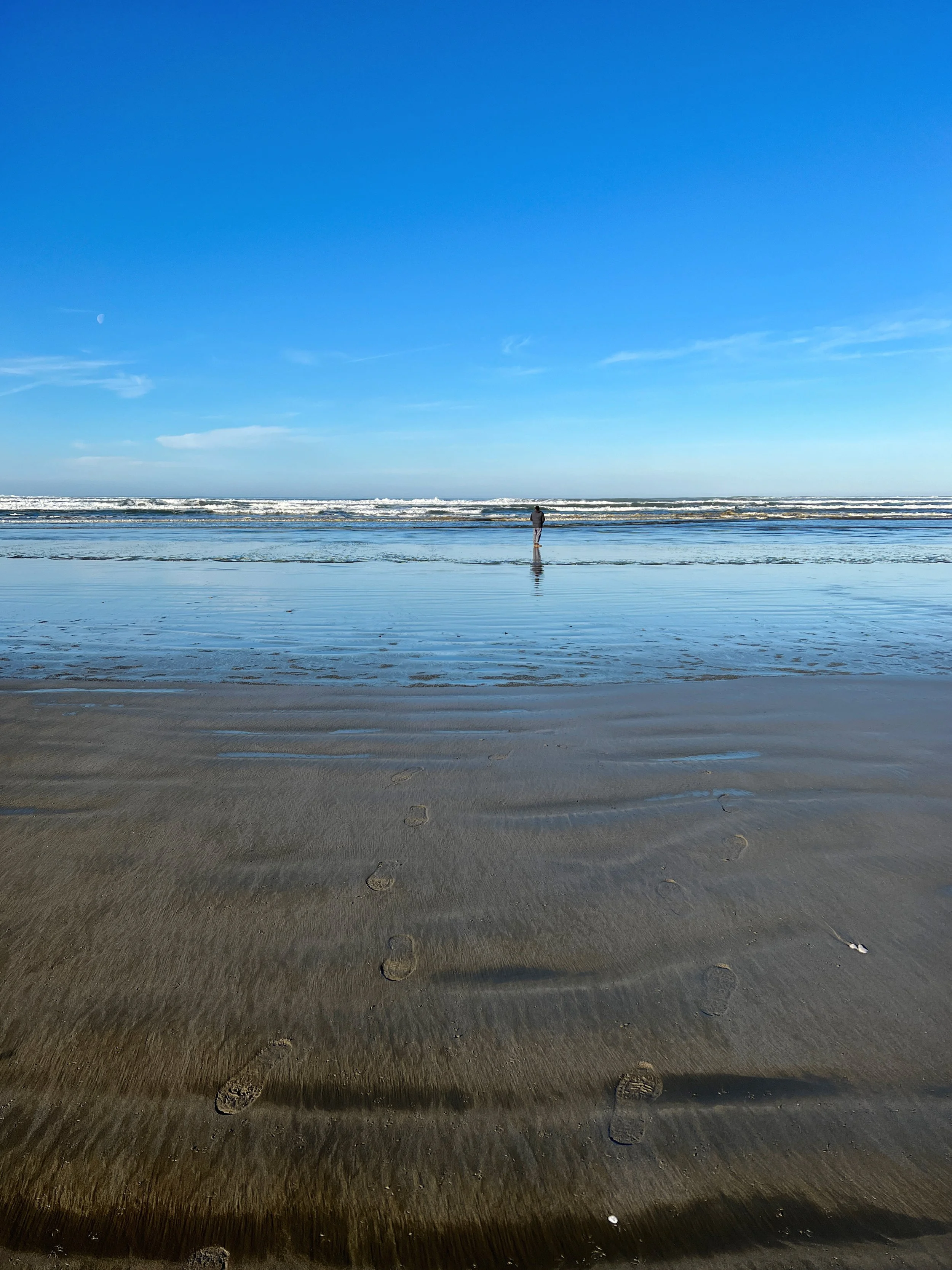 The Lamp Camp Campground on the Washington Coast — hatchet & lantern