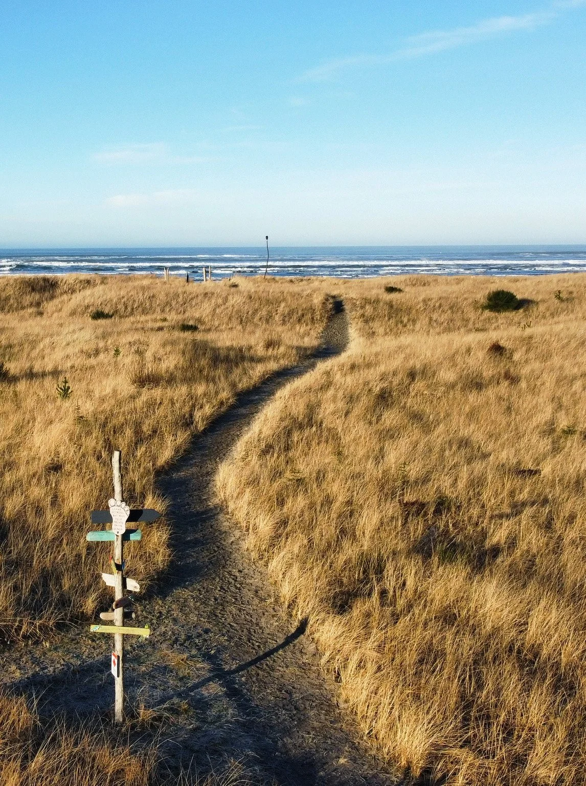 The Lamp Camp Campground on the Washington Coast — hatchet & lantern