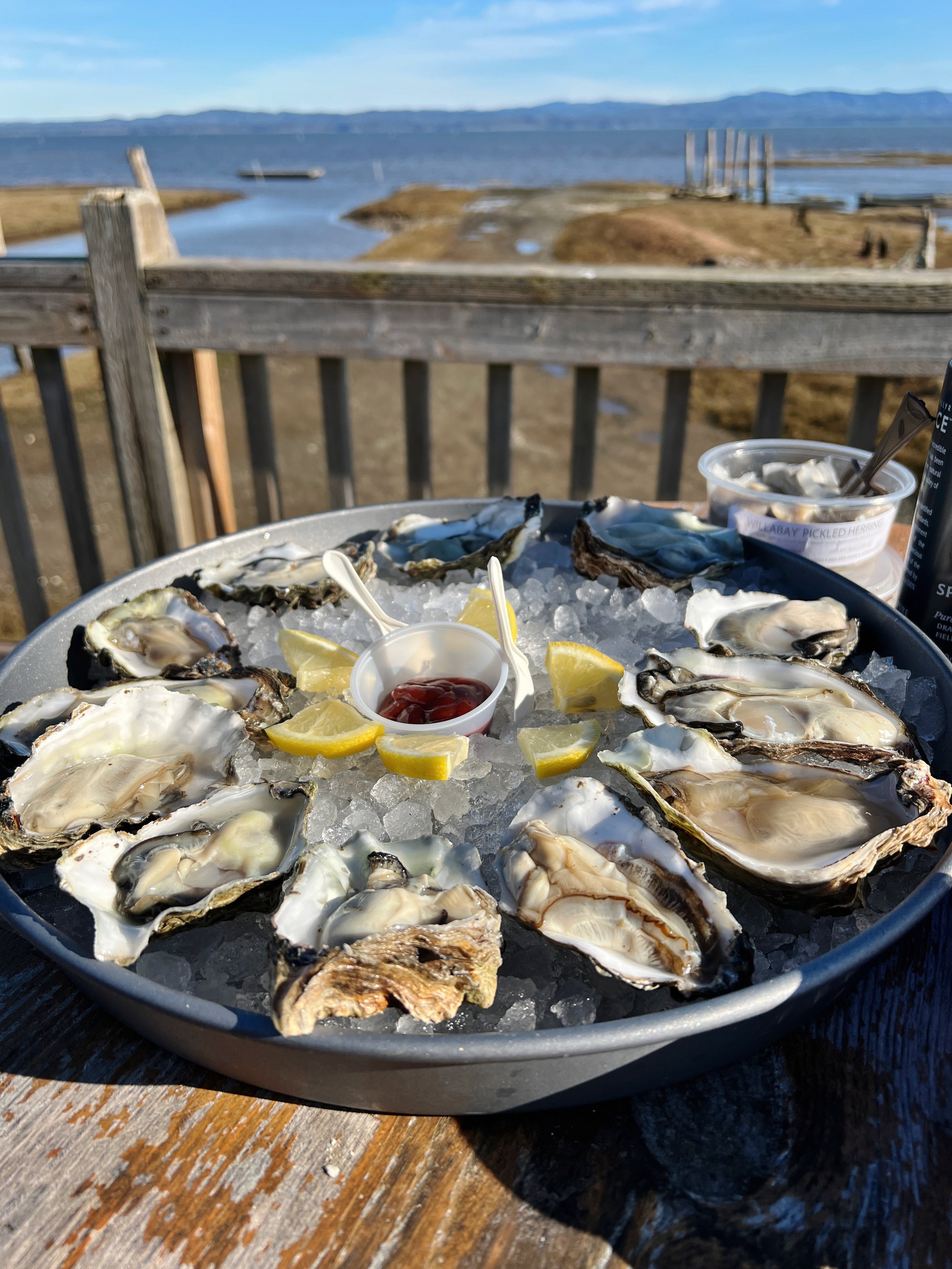 Oysterville Oysters on Willapa Bay