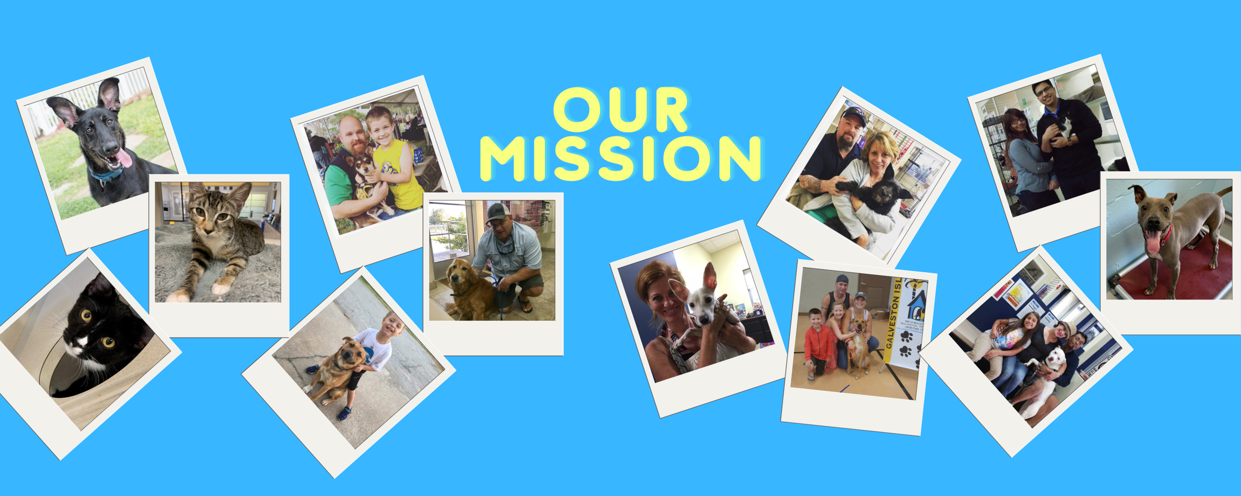 Galveston Island Humane Society